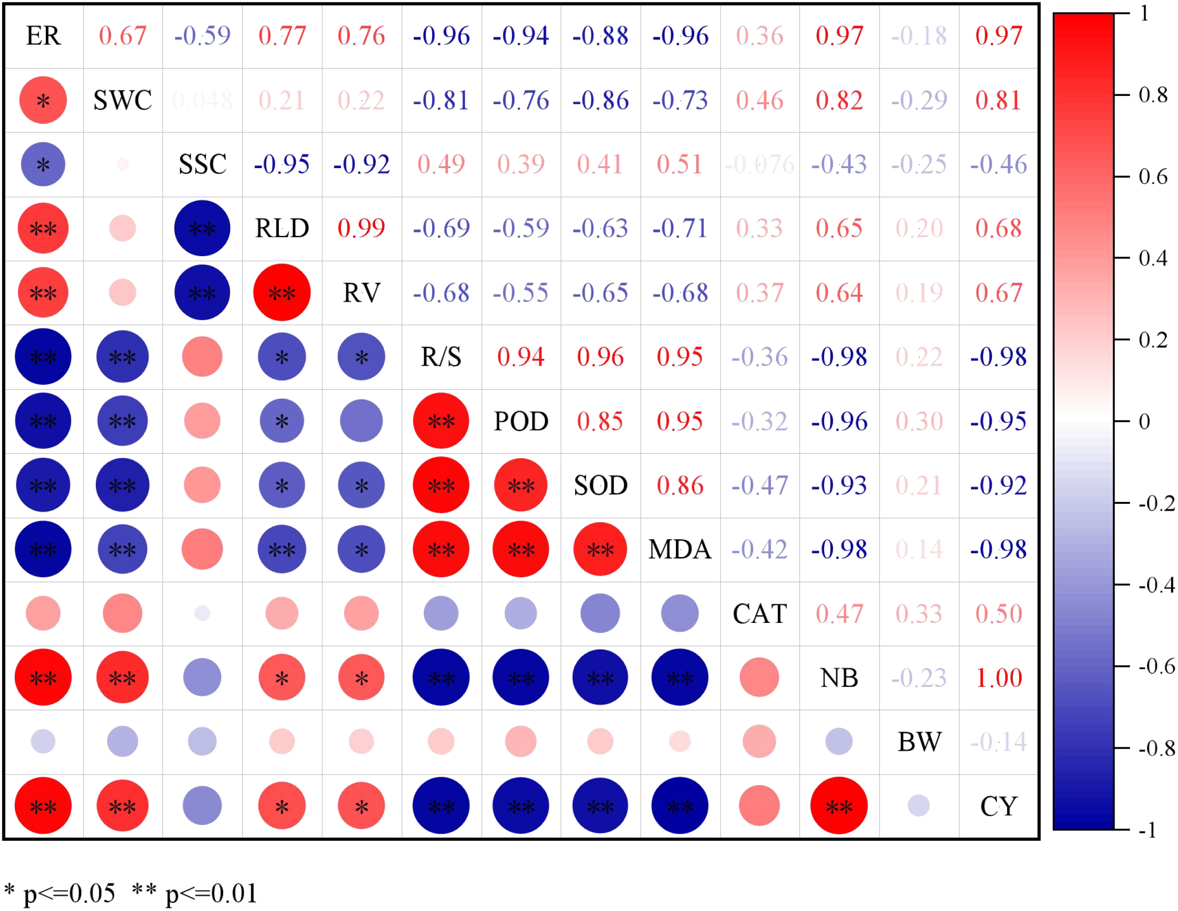 A correlation matrix shows relationships among variables ER, SWC, SSC, RLD, RV, R/S, POD, SOD, MDA, CAT, NB, BW, and CY. Positive correlations are in red; negative in blue, with intensity and circle size indicating strength. Significance is marked by asterisks: single for p ≤ 0.05 and double for p ≤ 0.01. A color scale on the right ranges from -1 in dark blue to 1 in dark red.