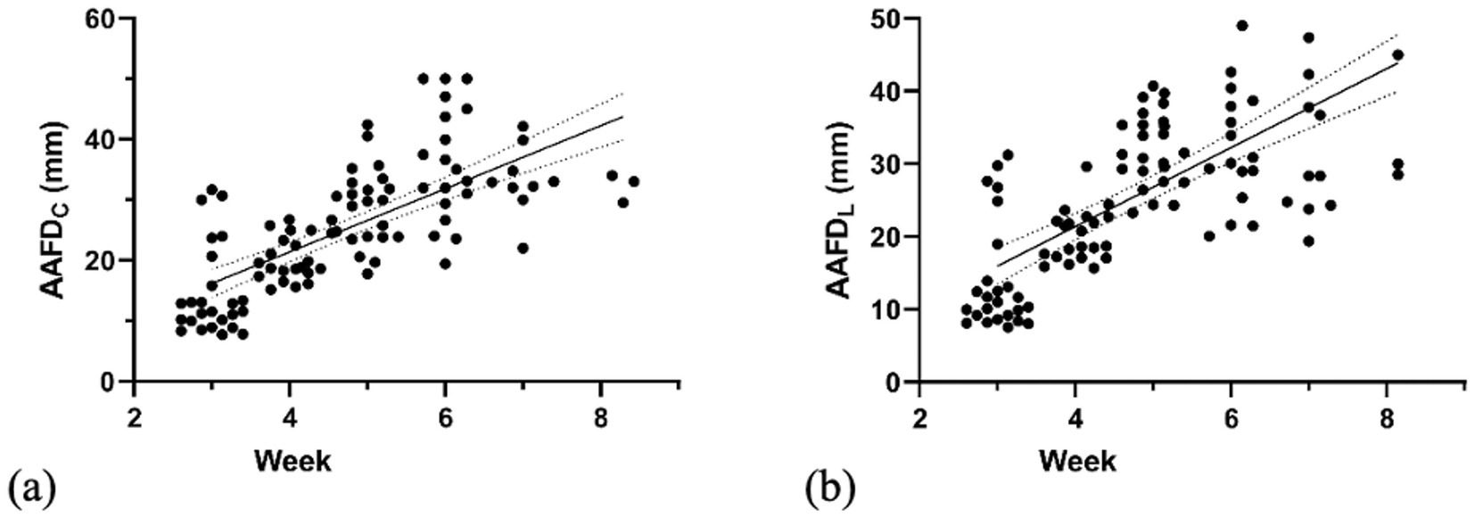 Scatter plots showing AAFDC (millimeters) versus weeks in panel (a) and AAFDL (millimeters) versus weeks in panel (b). Both plots depict positive correlations with dotted lines indicating confidence intervals.