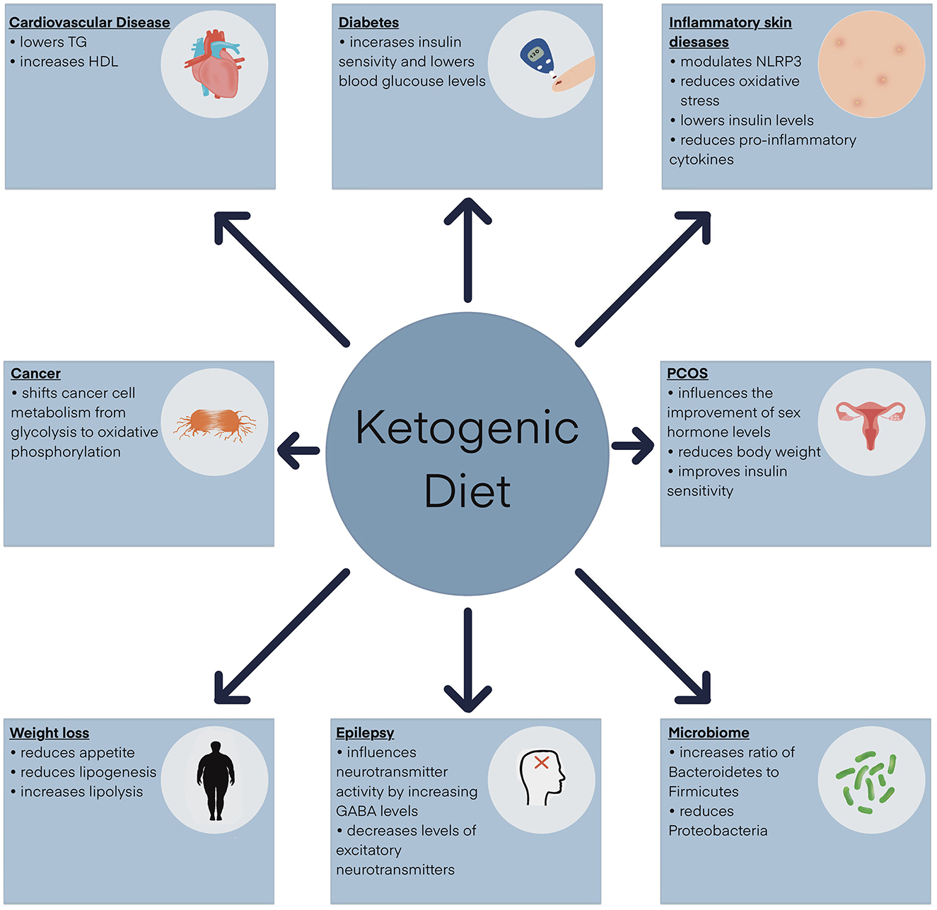 Flowchart illustrating the benefits of the ketogenic diet. It impacts cardiovascular disease (lowers TG, increases HDL), diabetes (increases insulin sensitivity, lowers blood glucose), inflammatory skin diseases (modulates NLRP3, reduces oxidative stress and pro-inflammatory cytokines), PCOS (improves sex hormone levels, reduces body weight, improves insulin sensitivity), cancer (shifts cell metabolism), weight loss (reduces appetite, increases lipolysis), epilepsy (increases GABA levels, decreases excitatory neurotransmitters), and microbiome (increases Bacteroidetes to Firmicutes ratio, reduces Proteobacteria). Arrows connect each benefit to a central circle labeled “Ketogenic Diet.”