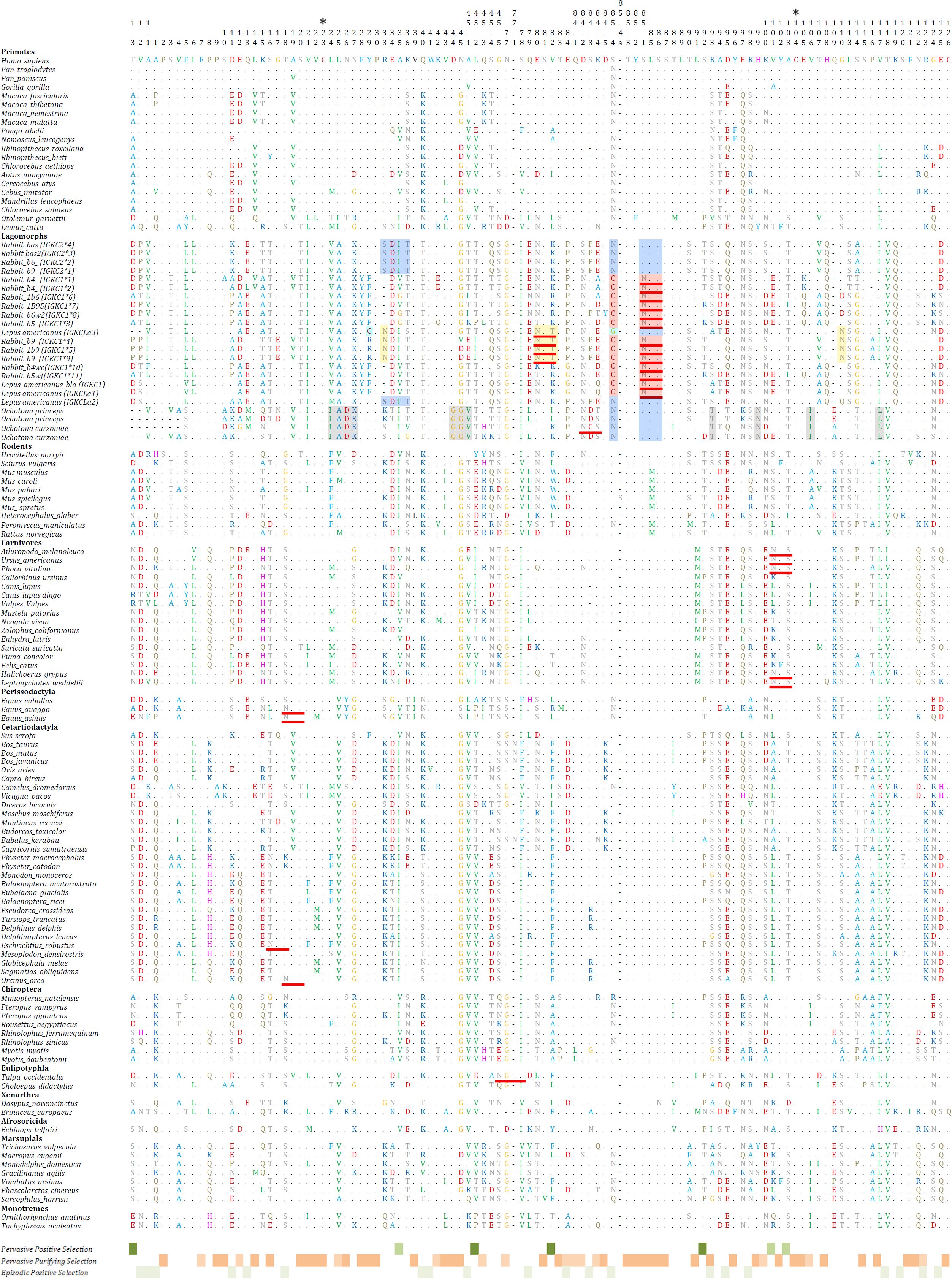 A detailed protein sequence alignment chart showing amino acid differences across various primate and mammal species. The chart is color-coded to highlight variations and conserved regions. Horizontal sequences for multiple species are aligned vertically under numerical headers indicating sequence positions, with colored bars indicating specific differences among species. Decoding the chart requires understanding of protein alignment and evolutionary analysis.