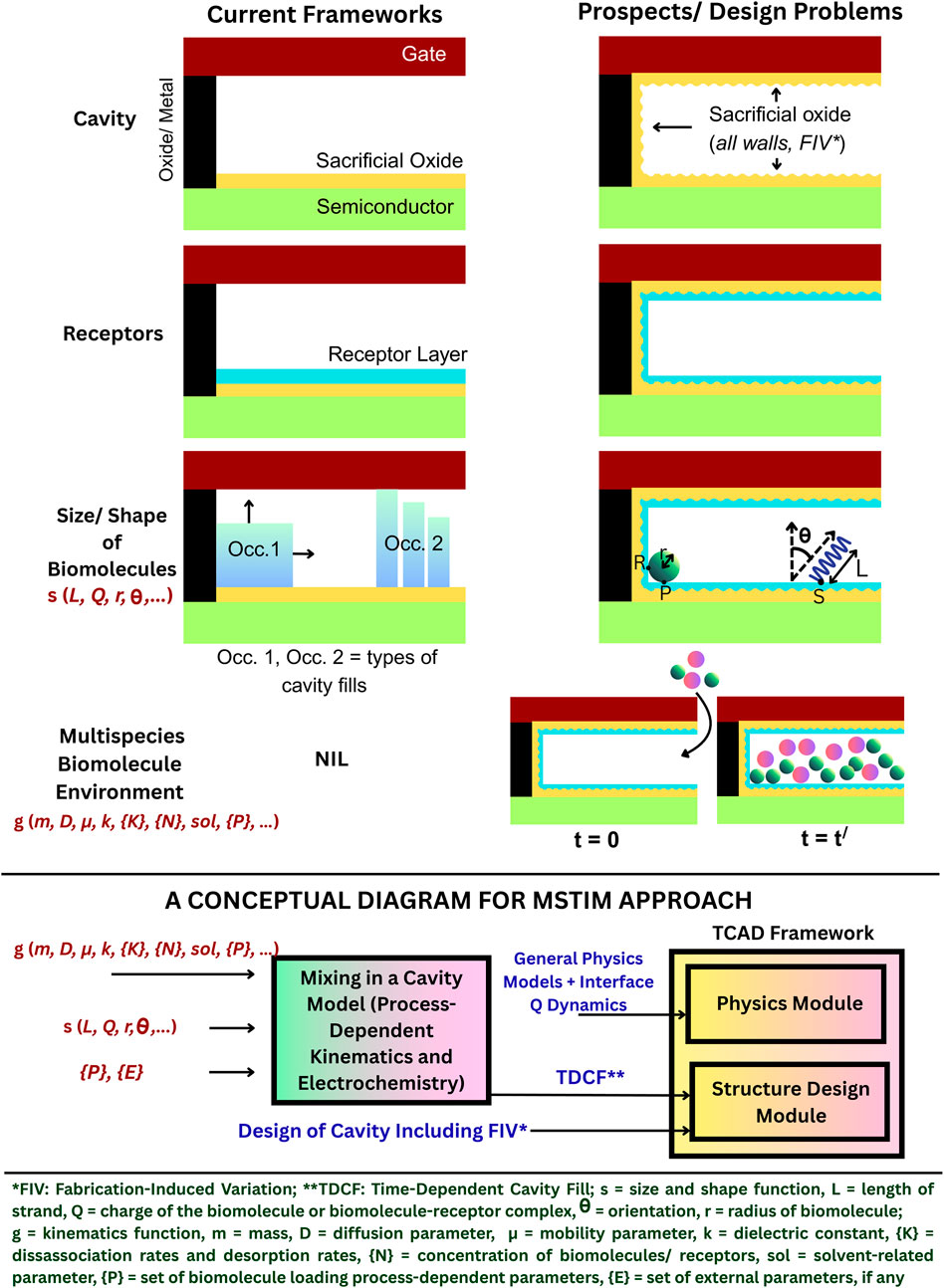 Conceptual diagram contrasting current frameworks and design problems in an MSTIM approach. The left side shows current design frameworks for, cavity, receptor layers, and biomolecule representation on TCAD. The right side highlights designs which can be considered on TCAD to make simulations realistic. Below, a flowchart illustrates integrating physics and structure modules within a TCAD framework for cavity design and biomolecule interaction using MSTIM.