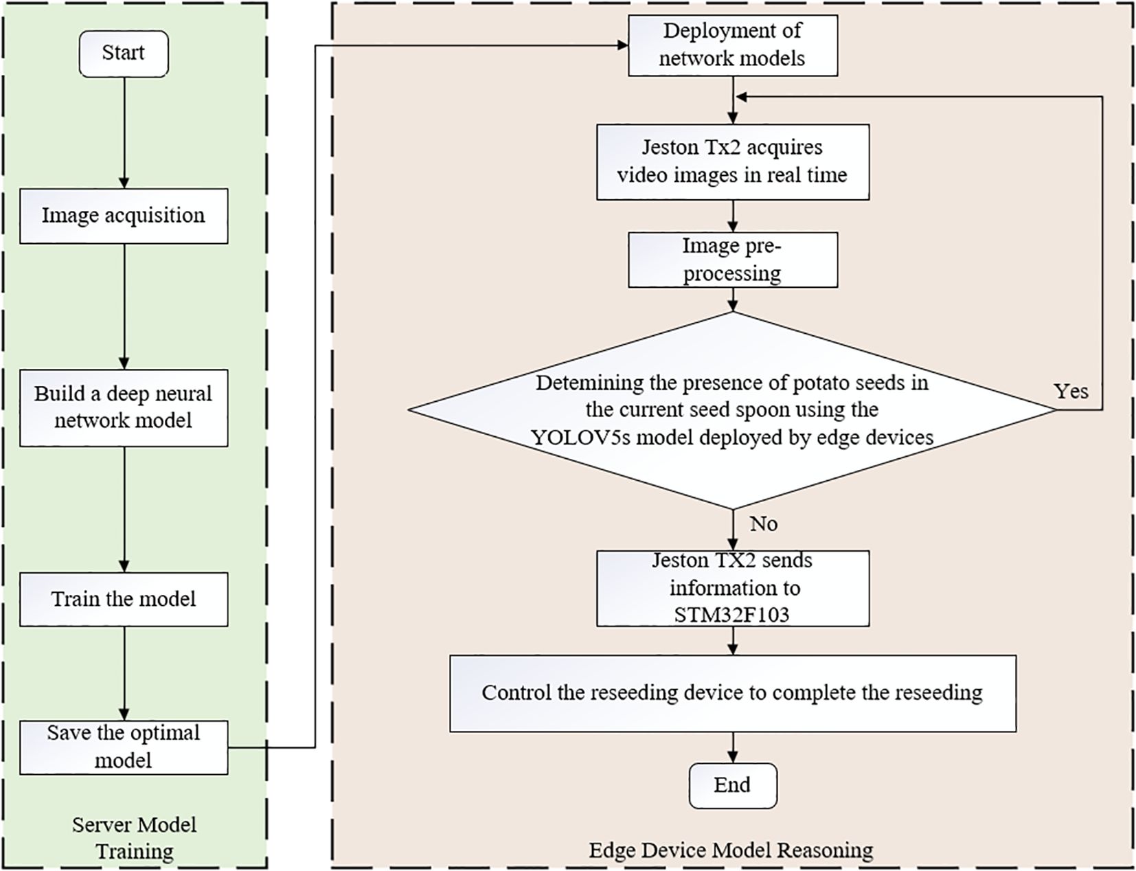 Flowchart illustrating an automated reseeding process using image recognition and neural networks. The process starts with image acquisition and model training on a server. The deployment involves Jetson TX2 capturing video in real time for image preprocessing. A YOLOv5 model checks for potato seeds; if detected, reseeding ends. If not, Jetson TX2 informs STM32F103 to control the reseeding device.