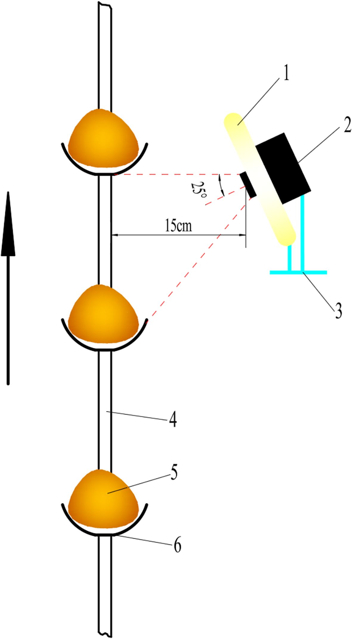Diagram illustrating the setup for observing a sample. A light source (1) directs illumination onto the sample, positioned 15 centimeters away and angled at 25 degrees. The setup includes a holder (2), a stand (3), a supporting rod (4), the sample (5), and a sample base (6). An arrow points for alignment or direction reference.
