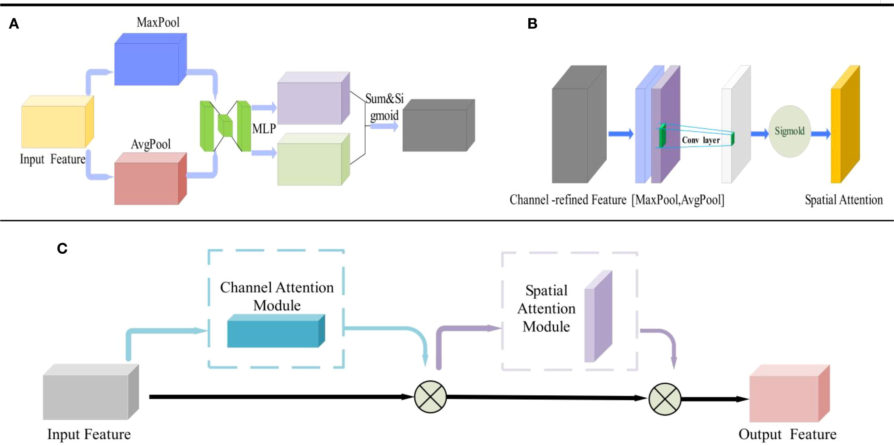 Diagram illustrating an attention mechanism with three parts. Panel A shows channel attention with input features passing through MaxPool, AvgPool, and MLP, combined through a sigmoid to output a refined feature. Panel B highlights spatial attention, where channel-refined features are convolved and processed with a sigmoid. Panel C integrates both modules, showing input features flowing through channel and spatial attention modules to produce output features.