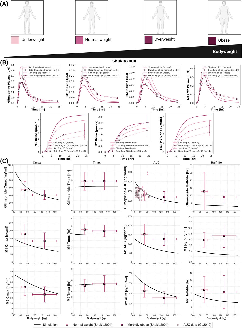 Illustration showing the relationship between bodyweight and pharmacokinetics of glimepiride. Part A depicts silhouettes representing underweight, normal weight, overweight, and obese categories. Part B contains graphs with simulation and observational data for glimepiride and its metabolites (M1, M2) in plasma and urine over time, comparing normal and obese groups. Part C presents relationship between pharmacokinetic parameters (Cmax, Tmax, AUC, Half-life) and bodyweight, including simulations and data from studies by Shukla and Gu. The graphs illustrate variations in drug metabolism across different body weights.
