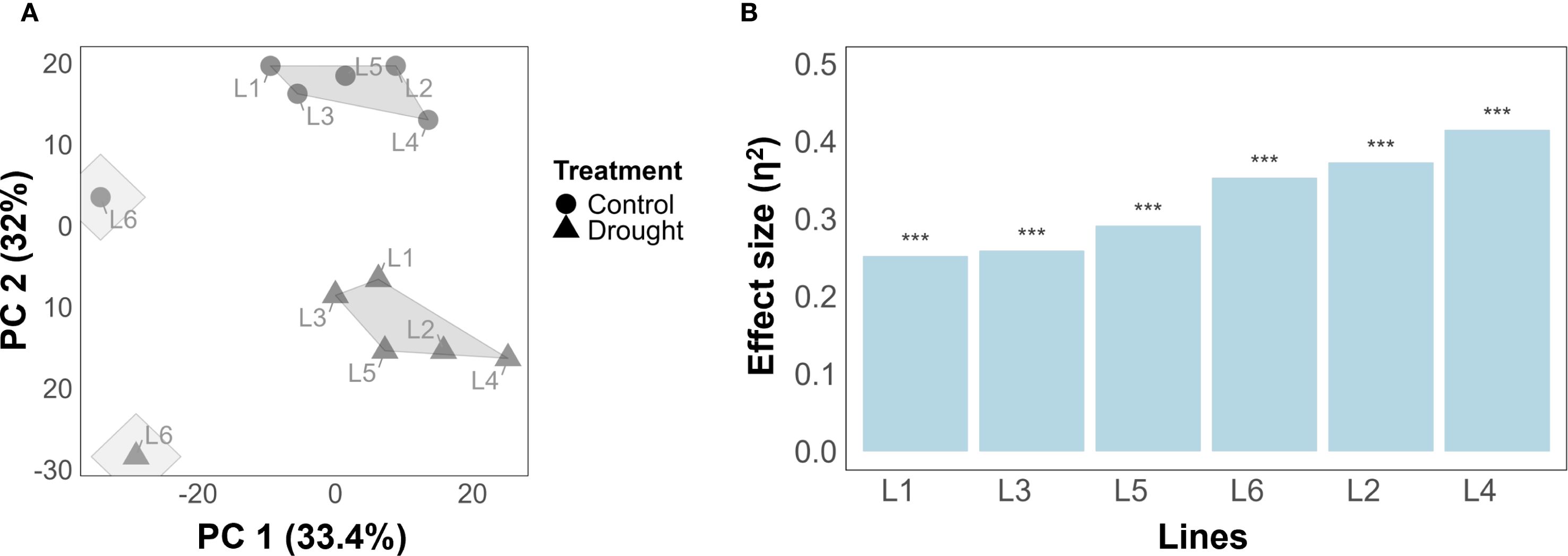 Panel A displays a scatter plot of Principal Component Analysis (PCA) with PC 1 (33.4%) on the x-axis and PC 2 (32%) on the y-axis. Circles represent control treatment, and triangles represent drought treatment Across markers L1 to L6 show clustering patterns. Panel B presents a bar graph depicting effect size (η²) for lines L1 to L6, with increasing values, all marked as statistically significant at p < 0.001.
