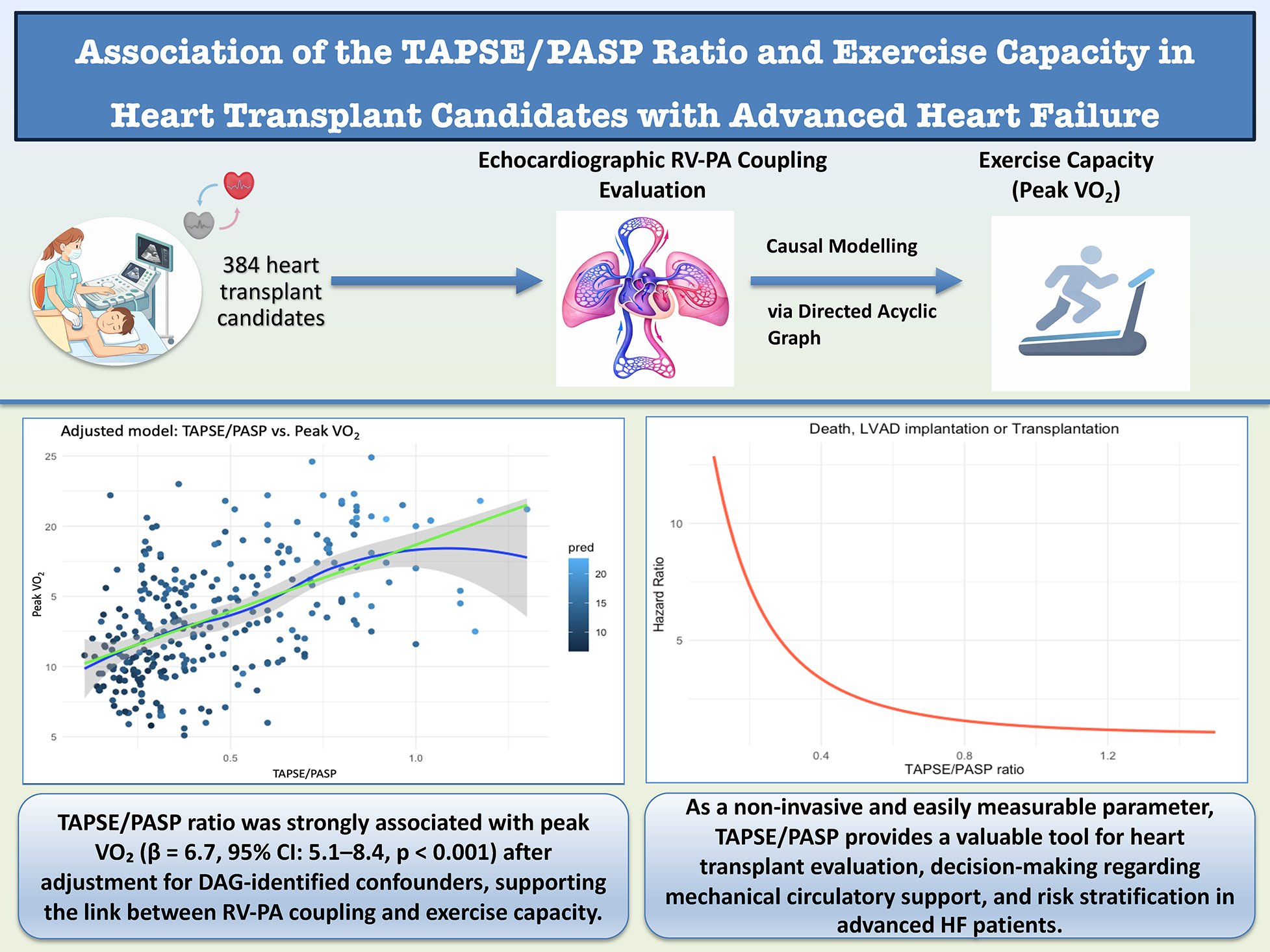 Title and diagram show the relationship between TAPSE/PASP ratio and exercise capacity in heart transplant candidates. A flowchart illustrates the evaluation process involving echocardiographic RV-PA coupling and causal modeling. A scatter plot graph shows a positive correlation between TAPSE/PASP ratio and peak VO₂. Another graph illustrates an inverse relationship between the TAPSE/PASP ratio and hazard ratio for death and medical procedures. Text boxes explain the significance of TAPSE/PASP in predicting exercise capacity and its non-invasive measurement benefits for heart failure patients.