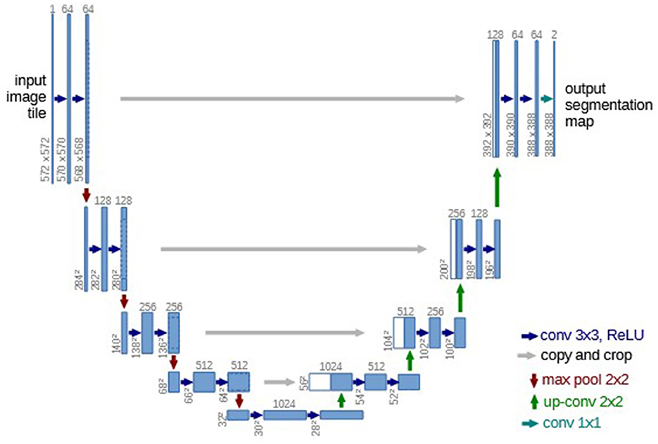 Diagram of a U-Net architecture for image segmentation. It shows a symmetrical pattern with encoding and decoding paths. The left-down path includes convolution 3x3 with ReLU, copy and crop, and max pool layers. The right-up path has up-convolution 2x2 and convolution 1x1 layers. Input image tile sizes decrease while output segmentation map sizes increase, reflecting spatial contraction and expansion.