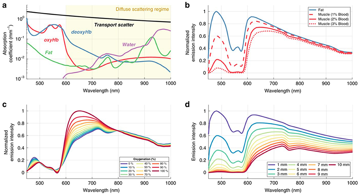 Four graphs labeled a, b, c, and d illustrate optical properties related to tissue. Graph a shows absorption coefficients versus wavelength for substances like oxyhemoglobin, deoxyhemoglobin, fat, and water, with regions marked as “Transport scatter” and “Diffuse scattering regime.”Graph b depicts normalized emission intensity against wavelength for fat and muscle with varying blood content. Graph c presents normalized emission intensity for different oxygenation levels, color-coded from blue to red. Graph d illustrates emission intensity across wavelengths for tissue slices ranging from one millimeter to ten millimeters. Each graph highlights interactions of light with biological tissues.
