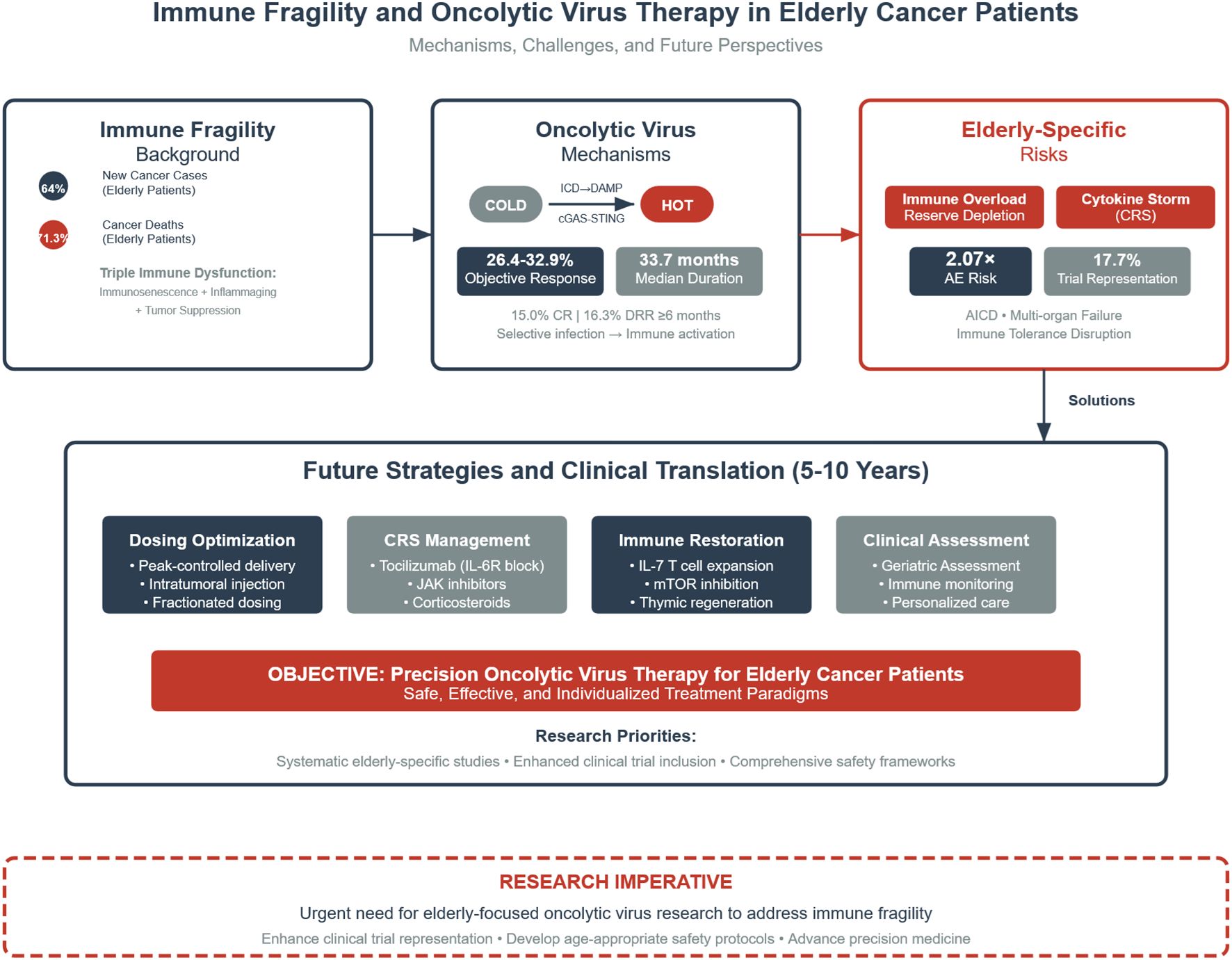 Flowchart illustrating immune fragility and oncolytic virus therapy in elderly cancer patients. It covers immune fragility background, oncolytic virus mechanisms, and elderly-specific risks like immune overload and cytokine storm. Future strategies include dosing optimization, CRS management, immune restoration, and clinical assessment. It emphasizes precision therapy and highlights the urgent need for elderly-focused research.