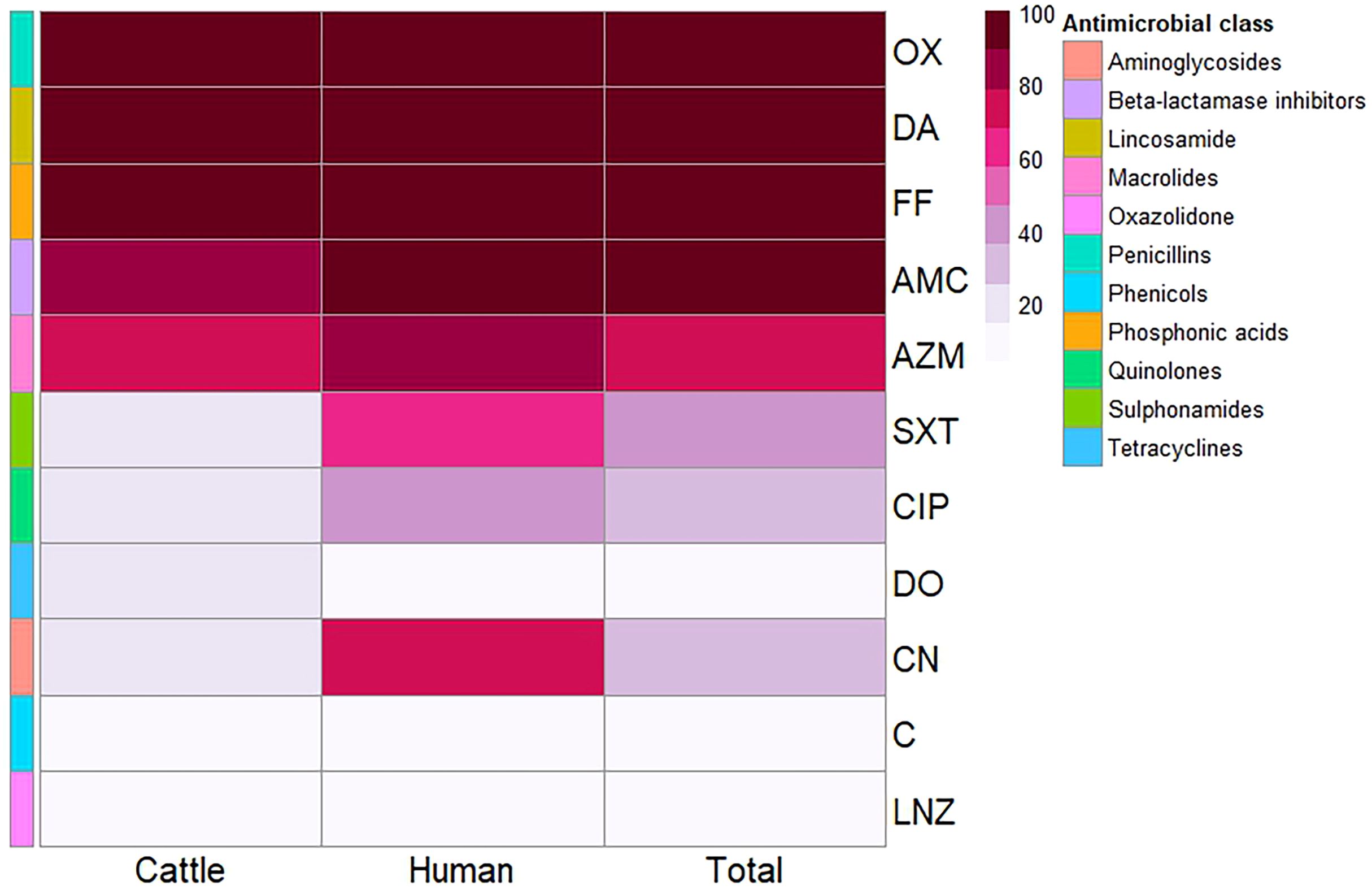 Heatmap illustrating antimicrobial resistance across cattle and humans for various antimicrobials, sorted by class. The color gradient indicates resistance percentage from 0 to 100. Key antimicrobials include OX, DA, FF, AMC, AZM, SXT, CIP, DO, CN, C, and LNZ. Different colors represent distinct antimicrobial classes such as Aminoglycosides, Beta-lactamase inhibitors, Lincosamide, Macrolides, and others. The chart shows varying resistance levels between cattle and humans across the antimicrobials.