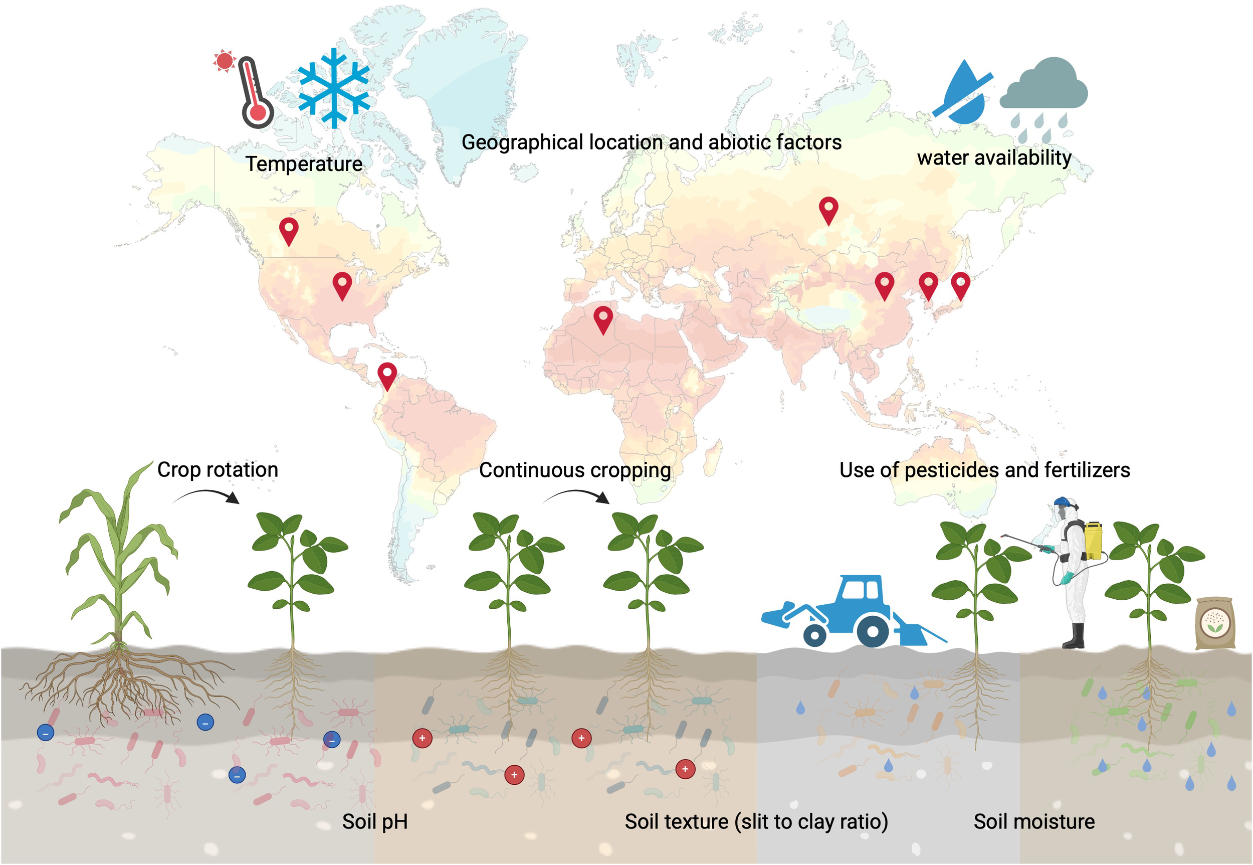 World map illustration depicting factors affecting agriculture: temperature, geographical location, and water availability. Below, diagrams show crop rotation, continuous cropping, and pesticide use. Soil sections illustrate pH, texture, and moisture variations.