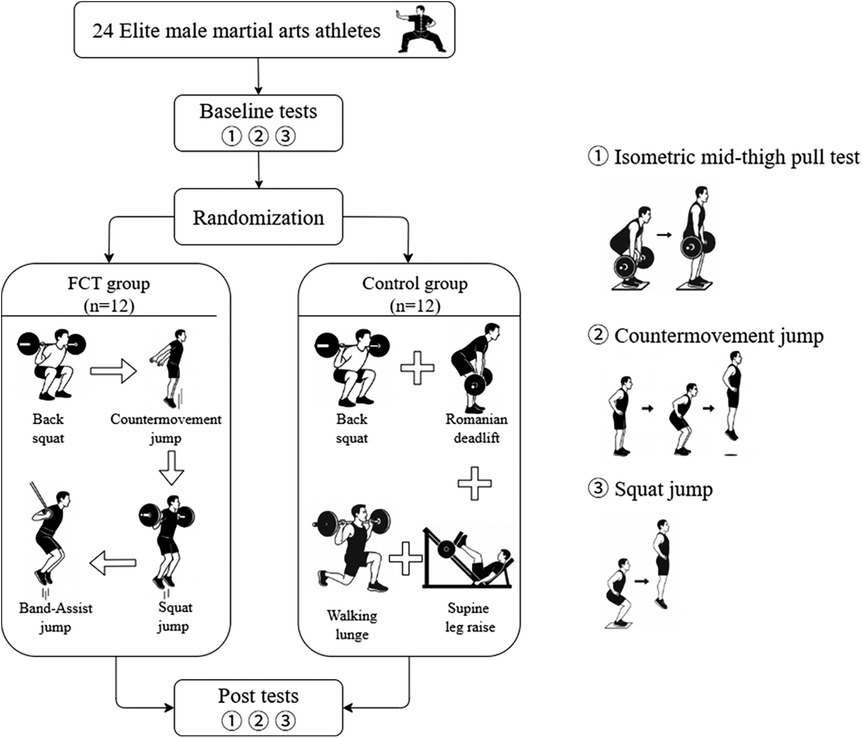 Flowchart depicting a study involving twenty-four elite male martial arts athletes. They undergo baseline tests for isometric mid-thigh pull, countermovement jump, and squat jump. Randomized into FCT and control groups, each with twelve members. The FCT group performs back squats, countermovement jumps, squat jumps, and band-assisted jumps. The control group does back squats, Romanian deadlifts, walking lunges, and supine leg raises. Both groups undergo post-tests identical to the baseline tests. The right side illustrates the exercises with sketches for clarity.