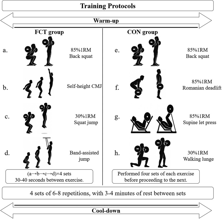 Two training protocol groups are depicted: FCT and CON. The FCT group includes exercises like back squat at eighty-five percent one rep max, self-height counter movement jump, squat jump at thirty percent one rep max, and band-assisted jump. The CON group includes back squat at eighty-five percent one rep max, Romanian deadlift, supine leg press, and walking lunge at thirty percent one rep max. Both groups perform four sets of six to eight repetitions, with three to four minutes rest between sets. Warm-up and cool-down phases are indicated.