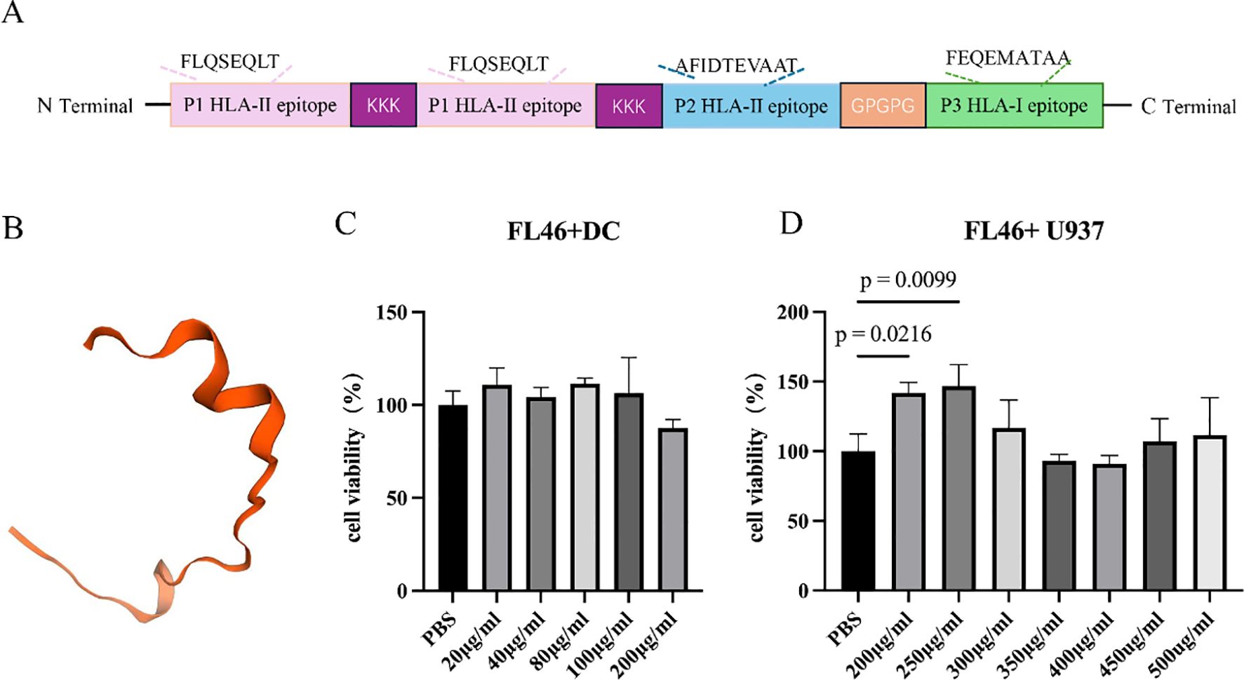 A diagram of a linear peptide sequence (A) shows segments labeled as P1 HLA-II epitope, KKK, P2 HLA-II epitope, GPGPG, and P3 HLA-I epitope. A ribbon-like structural representation of a protein segment is shown in orange (B). Two bar charts (C and D) display cell viability percentages in two experiments (FL46+ U937, FL46+DC) with varying concentrations of a substance, indicated by bars. Statistical significance is marked by asterisks.