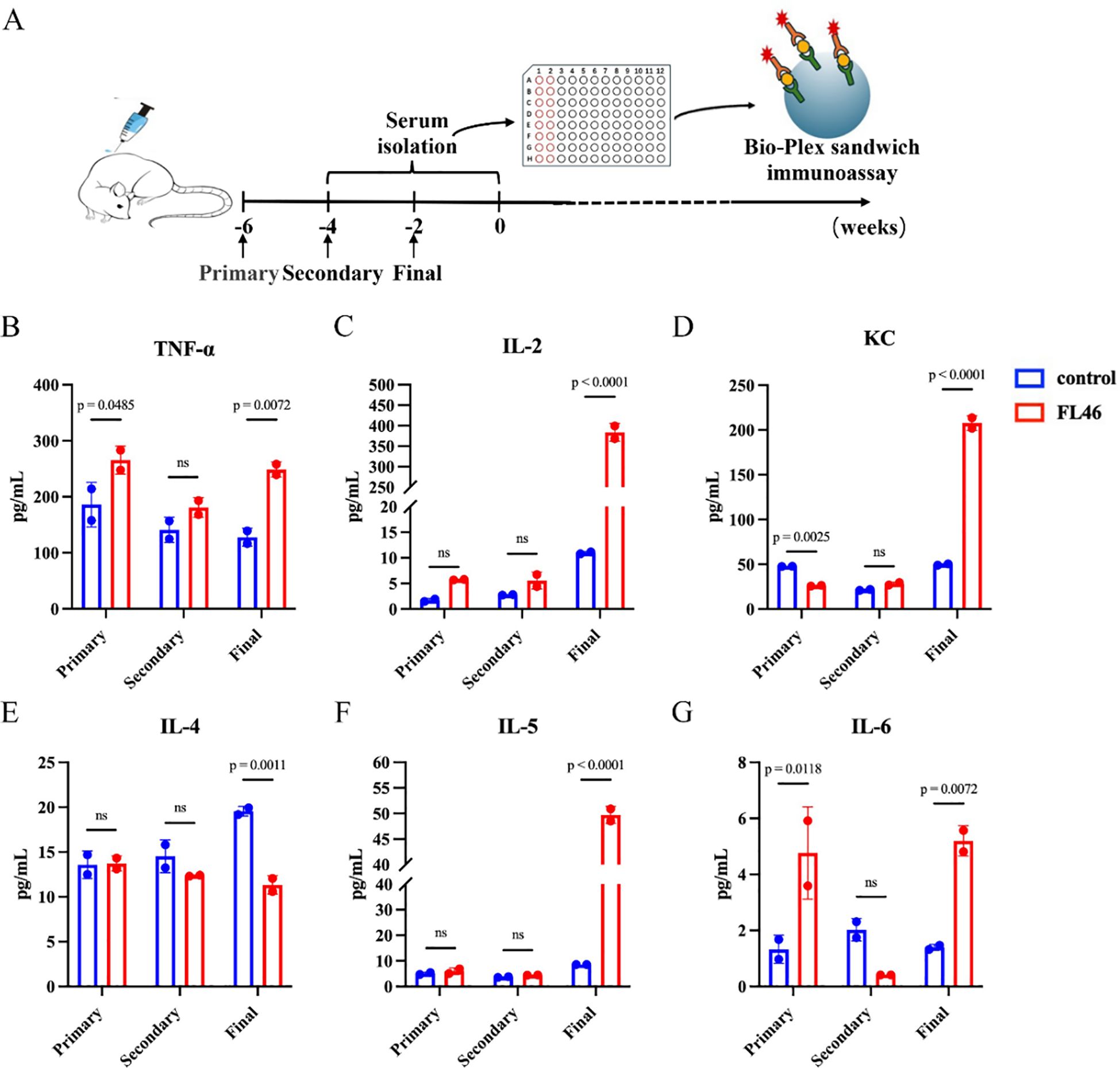 Illustration showing an experimental timeline with serum isolation and a Bio-Plex sandwich immunoassay. Graphs (B-G) depict cytokine levels: TNF-α, IL-2, KC, IL-4, IL-5, and IL-6 in control (blue) and FL46 (red) groups across three stages (Primary, Secondary, Final). Notable changes are indicated with asterisks denoting significance levels.