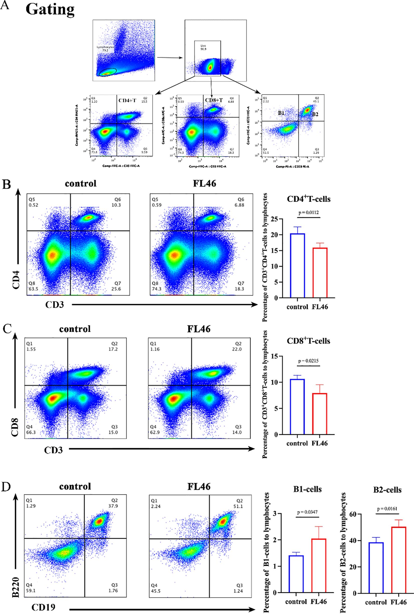 Flow cytometry data showing lymphocyte gating and analysis of cell populations. Panel A displays gating strategy for CD4+ T, CD8+ T, B1, and B2 cells. Panels B, C, and D compare control and FL46 groups using scatter plots and bar graphs. CD4+ and CD8+ T-cell percentages are lower in FL46, while B1 and B2 cells show varied percentages compared to control. Asterisks indicate statistical significance.
