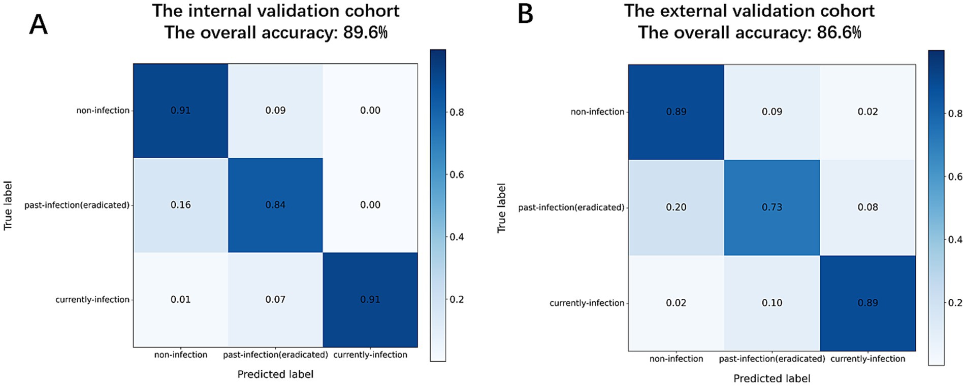 Two confusion matrices labeled A and B. A represents internal validation with 89.6% accuracy, showing high accuracy in predicting non-infections (0.91) and current infections (0.91). B represents external validation with 86.6% accuracy, showing high accuracy in predicting non-infections (0.89) and current infections (0.89). Both include categories for non-infection, past infection (eradicated), and current infection. A color gradient indicates the probability values.