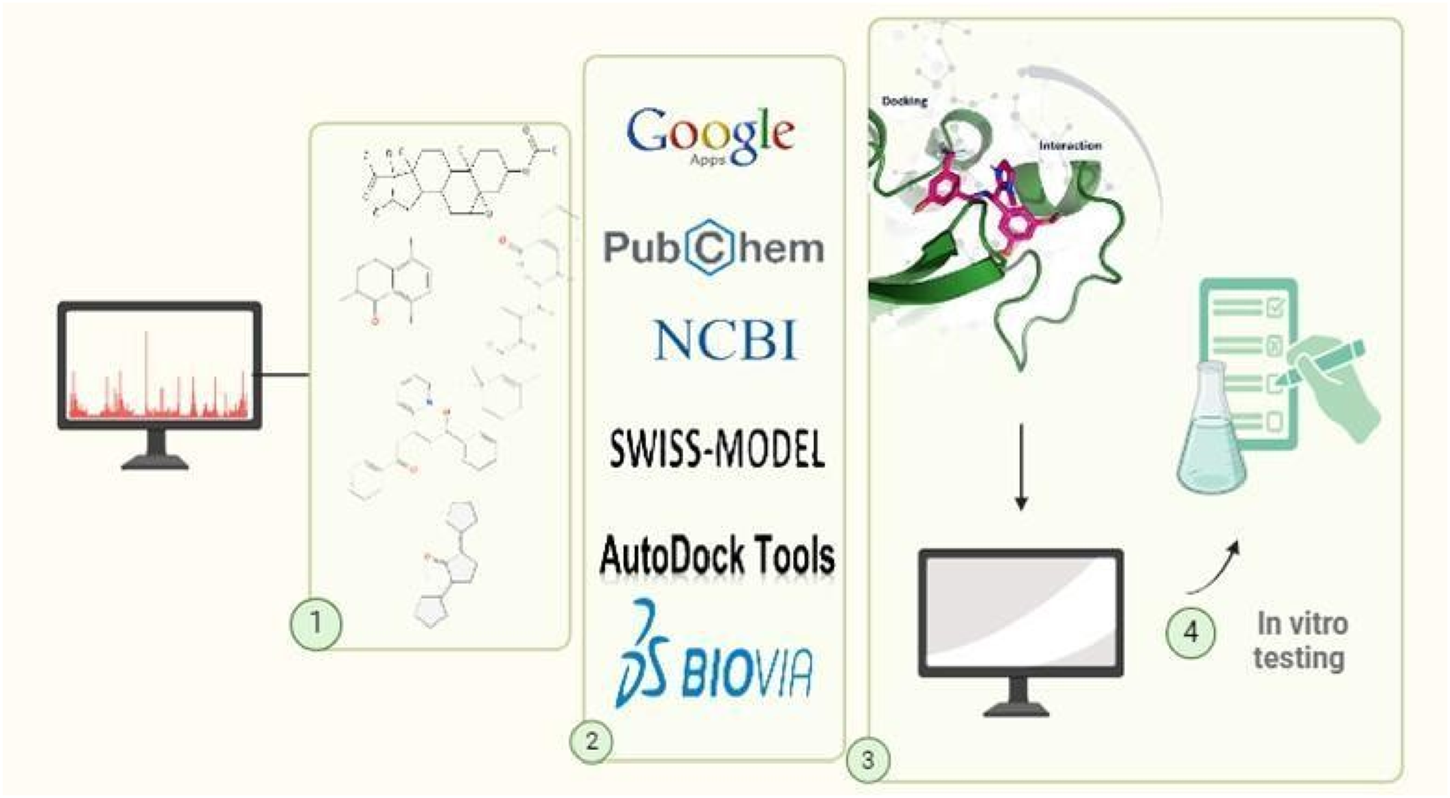 Flowchart illustrating a drug discovery process. Step 1 shows a computer with graphs linked to chemical structures. Step 2 lists tools including Google Apps, PubChem, NCBI, SWISS-MODEL, AutoDock Tools, and BIOVIA. Step 3 depicts molecular docking. Step 4 involves in vitro testing with a flask and a checklist.
