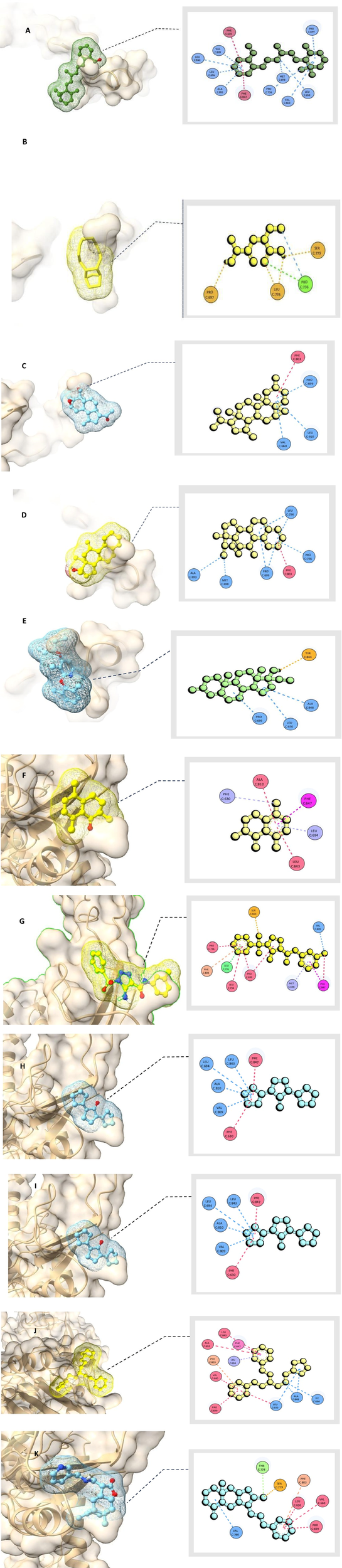 Molecular structures showing interactions. Panel A: A green 3D molecule within a protein pocket; adjacent diagram highlights interactions with residues like PHE, LEU, and VAL. Panel B: A yellow 3D molecule in a protein pocket; adjacent diagram shows interactions with residues including PRO, LEU, and SER. Arrows and colors indicate relationships and interactions. Three molecular interaction models labeled C, D, and E show compounds bound to protein pockets. Each is paired with a 2D diagram. C displays a blue compound with interactions to PHE C893 and others. D shows a yellow compound with connections to LEU C714 and more. E presents a blue compound interacting with TYR C584 and others, depicted in a green diagram. Three panels depict molecular docking simulations. Each panel shows a molecular structure within a protein binding site on the left, with corresponding 2D interaction diagrams on the right. Panel F highlights a yellow molecule interacting with amino acids including phenylalanine and leucine. Panel G displays a multicolored molecule interacting with residues like serine and valine. Panel H shows a blue molecule with phenylalanine and alanine residues marked. Dashed lines connect structures to their interaction diagrams, showing binding interactions. Each depiction includes atom connectivity and amino acid involvement. Close-up views of molecular models are shown, each paired with a diagram illustrating molecular interactions. The first model highlights a blue-hued molecule fitting into a protein pocket, the second presents a yellow-toned molecule, and the third features a cyan molecule. Each diagram shows colored circles representing amino acid residues interacting with the molecules through dashed lines.