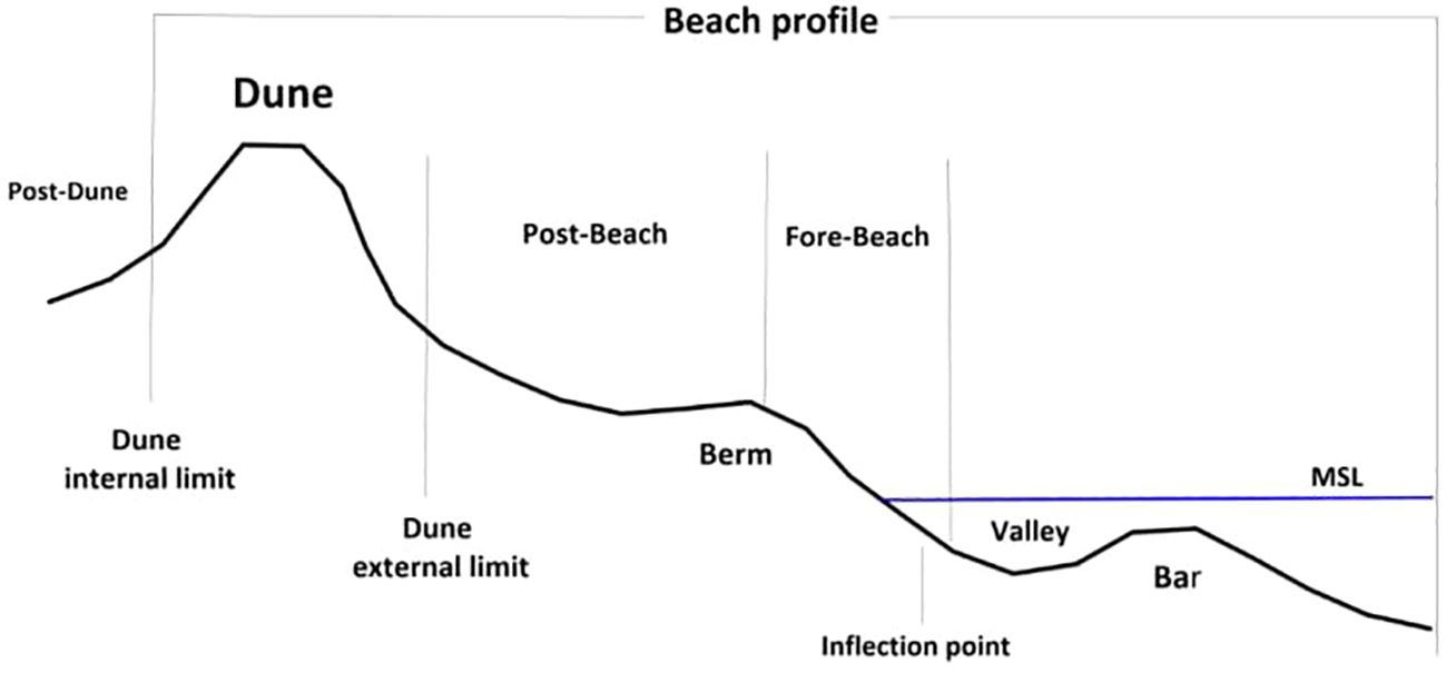 Diagram of a beach profile showing the contours from a dune through post-dune, post-beach, fore-beach, berm, inflection point, valley, to a bar. The mean sea level line is marked as MSL.