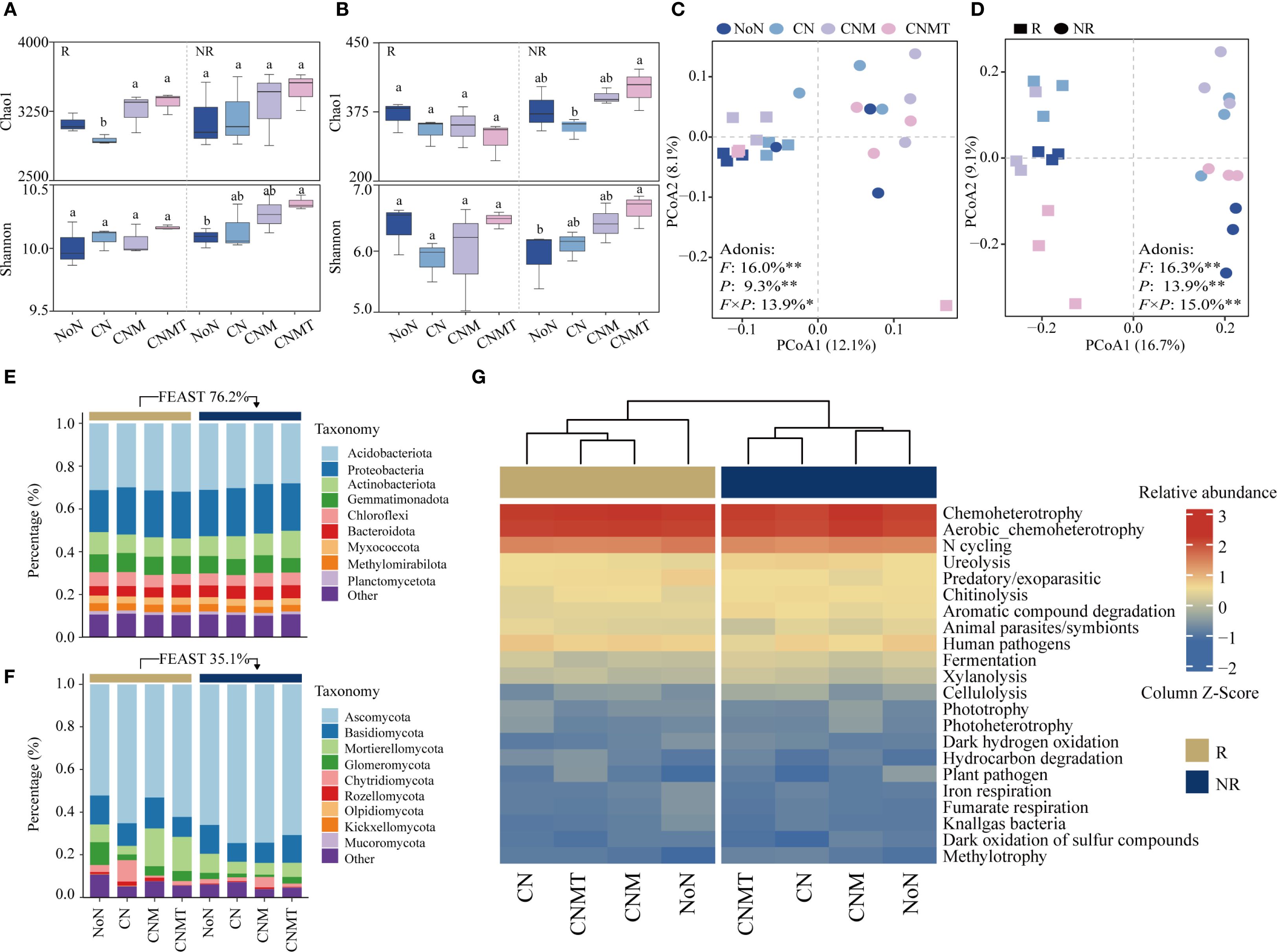 The image comprises multiple panels displaying microbial community data. Panels A and B show box plots of Chao1 and Shannon diversity indices across different treatments (NoN, CN, CNMT, CMT) for responders (R) and non-responders (NR). Panel C is a PCoA plot illustrating beta diversity with statistical analysis results. Panel D is another PCoA plot comparing responders and non-responders. Panels E and F depict bar graphs representing taxonomic compositions of bacterial and fungal communities, respectively, with percentages. Panel G is a heatmap showing the relative abundance of microbial functions across treatments, with a color key indicating abundance levels.