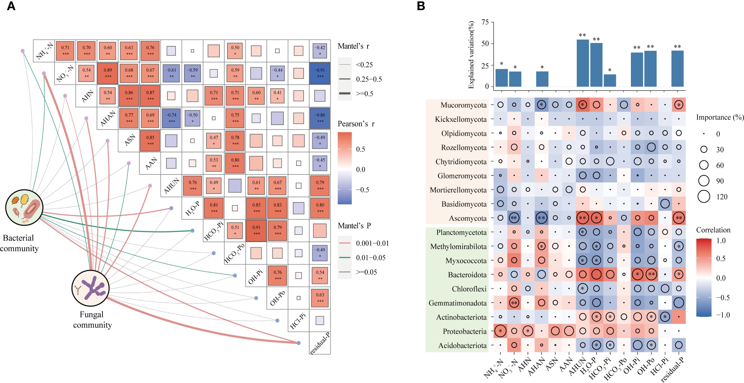 Diagram showing correlation matrices for bacterial and fungal communities. Panel A displays a heatmap with red and blue tiles, illustrating Pearson’s correlation coefficients between soil properties and bacterial or fungal communities. The Mantel’s r and p-values are indicated by color intensity and line thickness. Green and red lines connect variables to communities. Panel B shows a heatmap with explained variation percentages for different taxa, with colored tiles representing correlation strength. Circle sizes indicate importance percentages. A bar graph above displays explained variation percentages for specific categories.