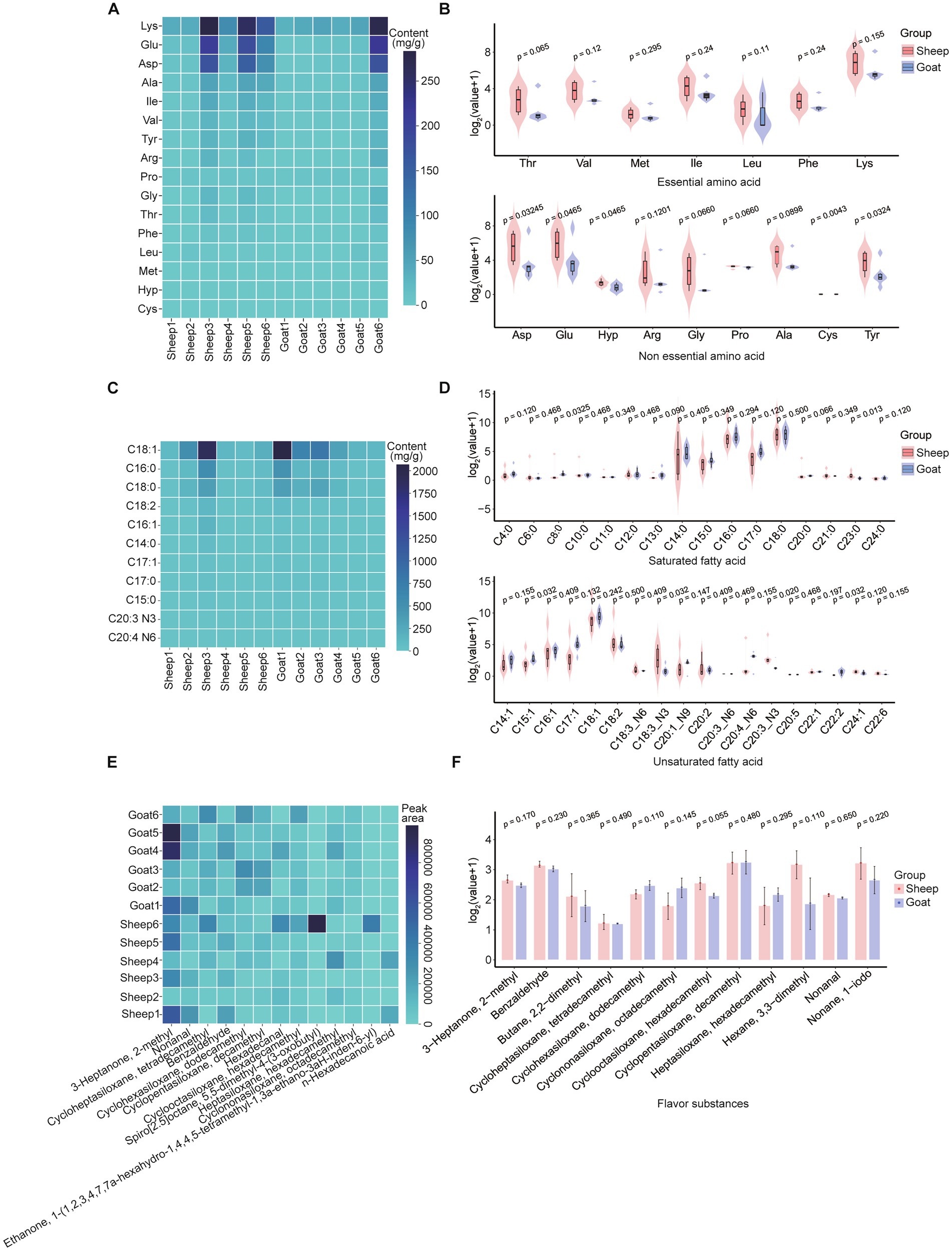 A series of six panels (A-F) showcasing data comparisons between sheep and goat elements. Panel A shows a heatmap of amino acid content, with darker shades indicating higher concentrations. Panel B presents violin plots comparing concentrations of essential and non-essential amino acids between sheep and goats. Panel C displays a heatmap of fatty acid content. Panel D includes violin plots comparing saturated and unsaturated fatty acids. Panel E provides a heatmap of various chemical peak areas. Panel F shows bar charts comparing flavor substances, with significant differences marked with p-values. Each panel uses color coding to distinguish between sheep (red) and goat (blue).