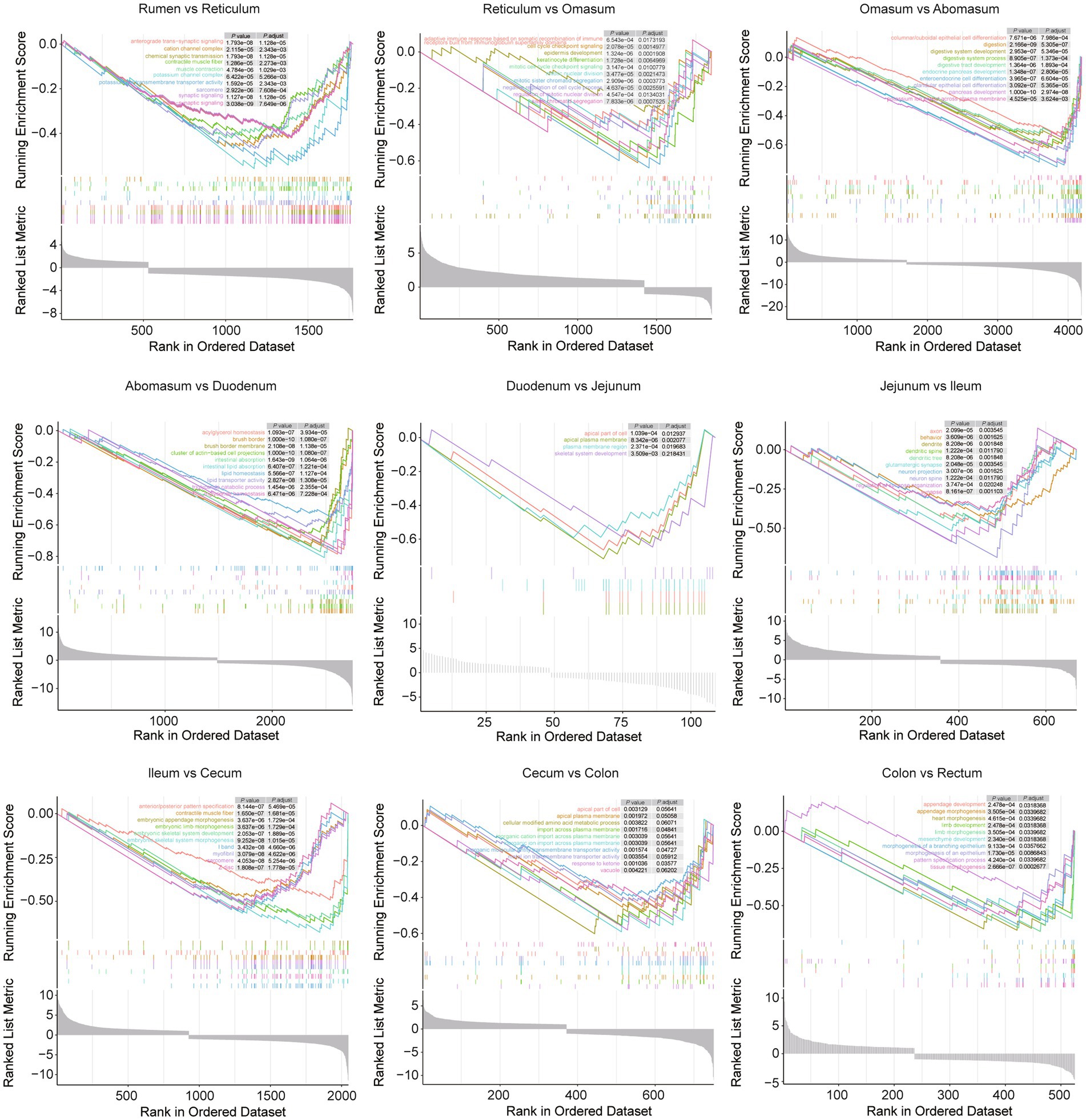 Nine line charts labeled A to I compare running enrichment scores for various parts of the digestive system, each against another. The x-axis represents the rank in the ordered dataset, and the y-axis shows the running enrichment score. Each chart displays multiple colored lines, indicating different data series, and includes a legend for reference. The curves generally show a downward trend reaching a minimum and then rising.