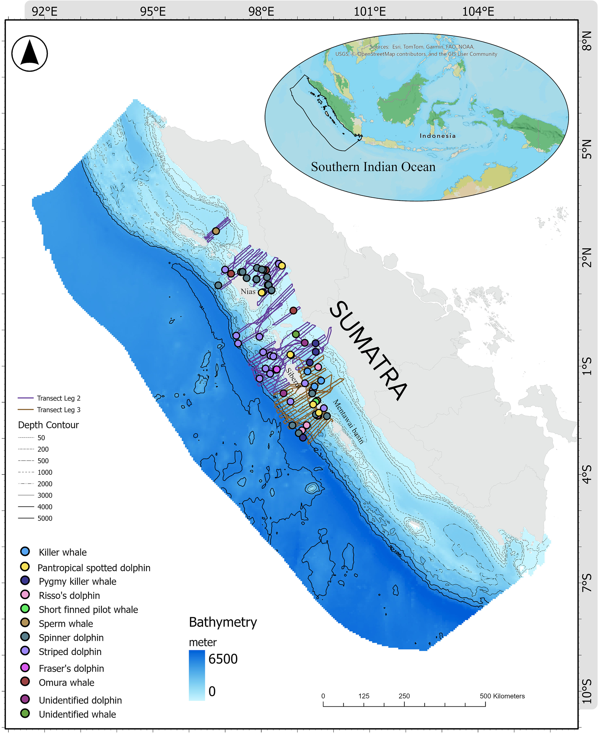Map of the Sumatra region displaying the Southern Indian Ocean, indicating depth contours and bathymetry, color-coded from zero to six thousand five hundred meters. Marine mammal sightings, including various whales and dolphins, are marked with colored dots along transect paths. An inset shows the region's location relative to Southeast Asia.