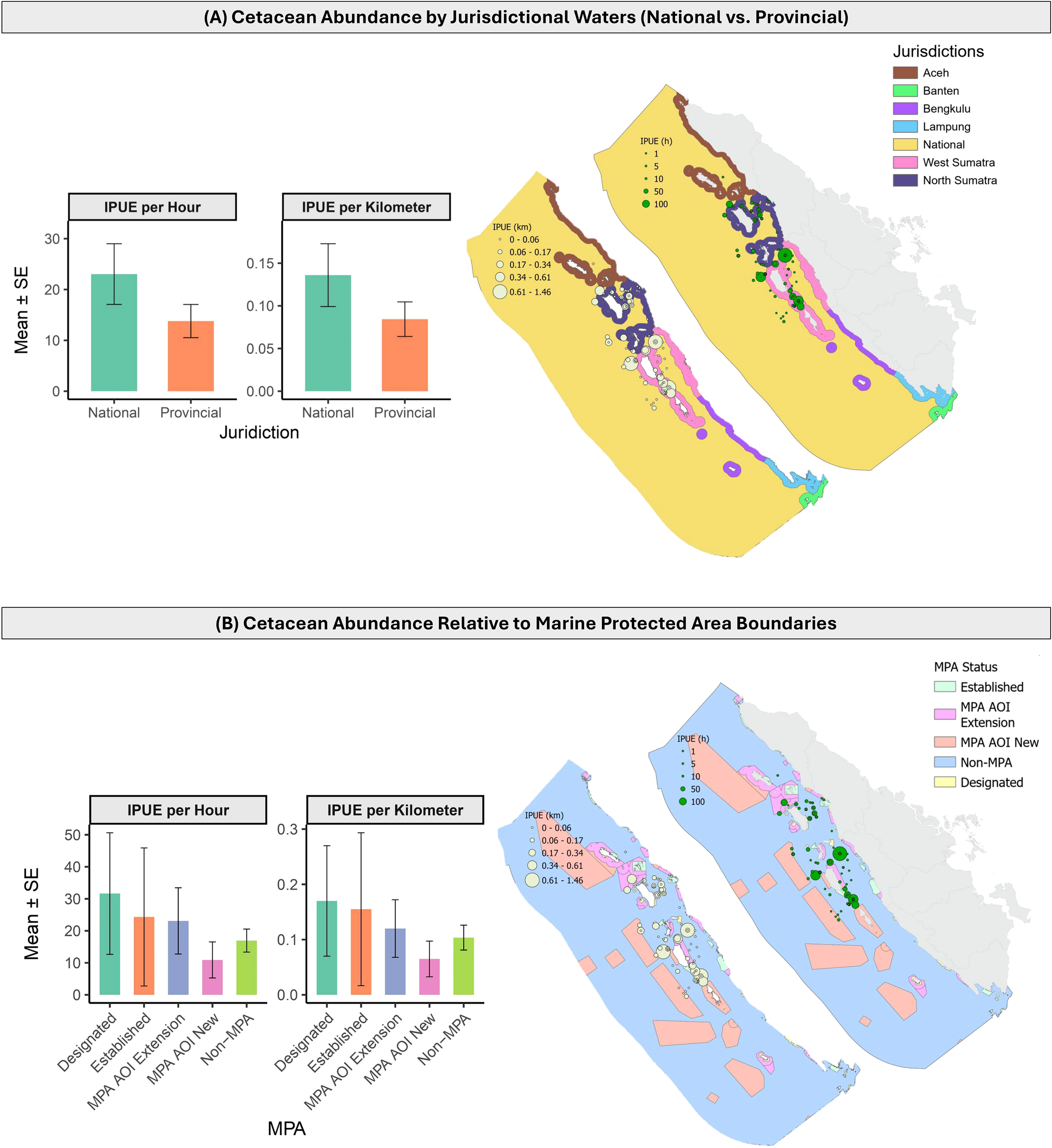 Panel (A) shows bar graphs and a map comparing cetacean abundance by jurisdictional waters, highlighting higher IPUE per hour and kilometer in national waters versus provincial. Jurisdictions are color-coded on the map. Panel (B) presents bar graphs and a map displaying cetacean abundance relative to Marine Protected Areas (MPA), indicating variations in IPUE among different MPA statuses. Maps use colors and symbols to represent data on tools made in nearby jurisdictions and MPA status.