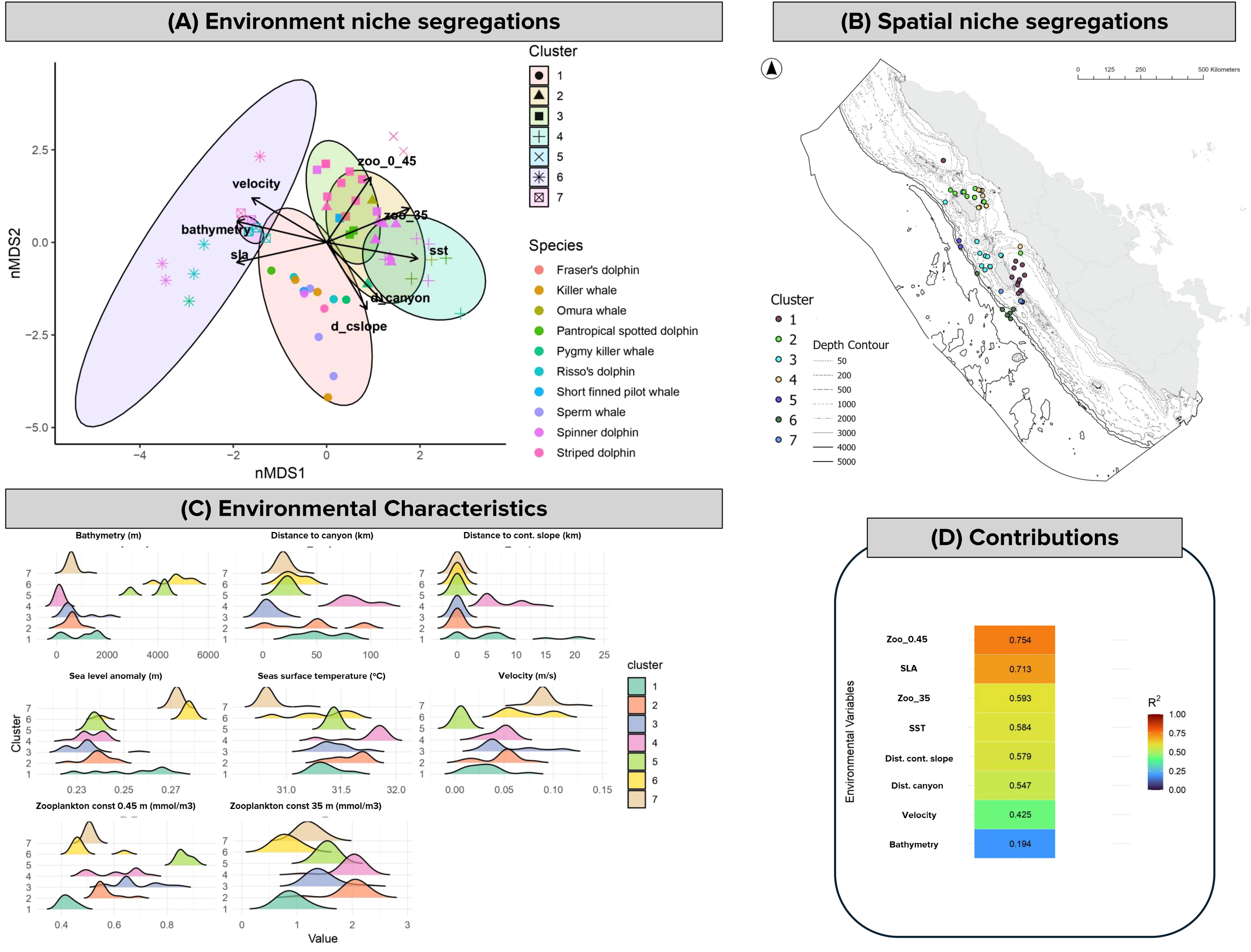 Four panels depict niche segregation analysis. Panel A shows a multivariate plot of environmental niche segregation with species and clusters. Panel B is a spatial map illustrating cluster locations and depth contours. Panel C features density plots of environmental characteristics per cluster, such as bathymetry and sea level anomaly. Panel D presents a bar chart indicating contributions of environmental variables to niche segregation, measured by R-squared values, with variables like bathymetry and sea surface temperature shown.