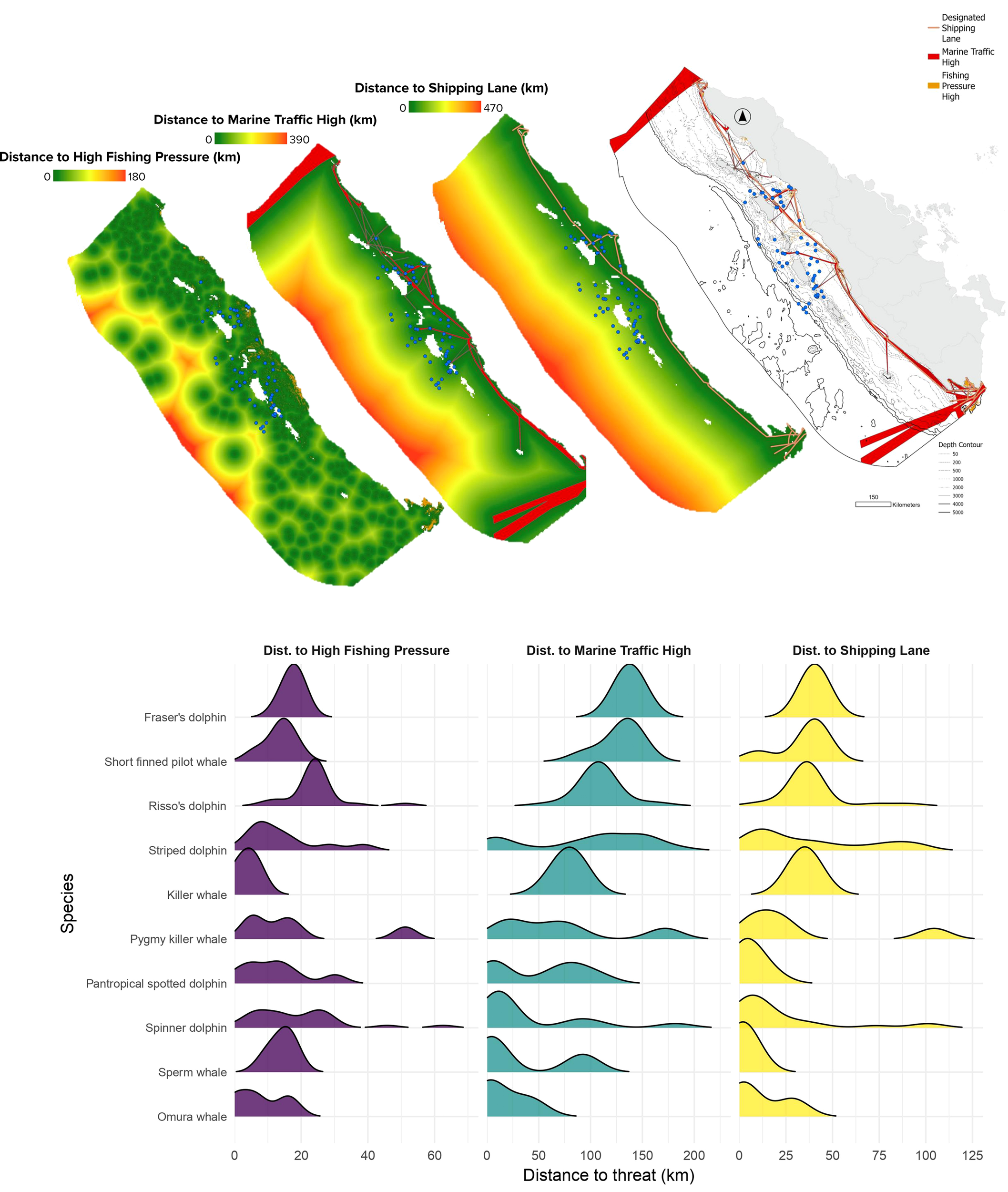 Three maps and a series of density plots illustrate distances to threats. The maps show areas of high fishing pressure, high marine traffic, and shipping lanes, with color gradients indicating distance. Below, density plots for ten marine species display distribution across three threat distances: high fishing pressure (purple), marine traffic (cyan), and shipping lanes (yellow). Each plot shows species distribution relative to distance from these threats.