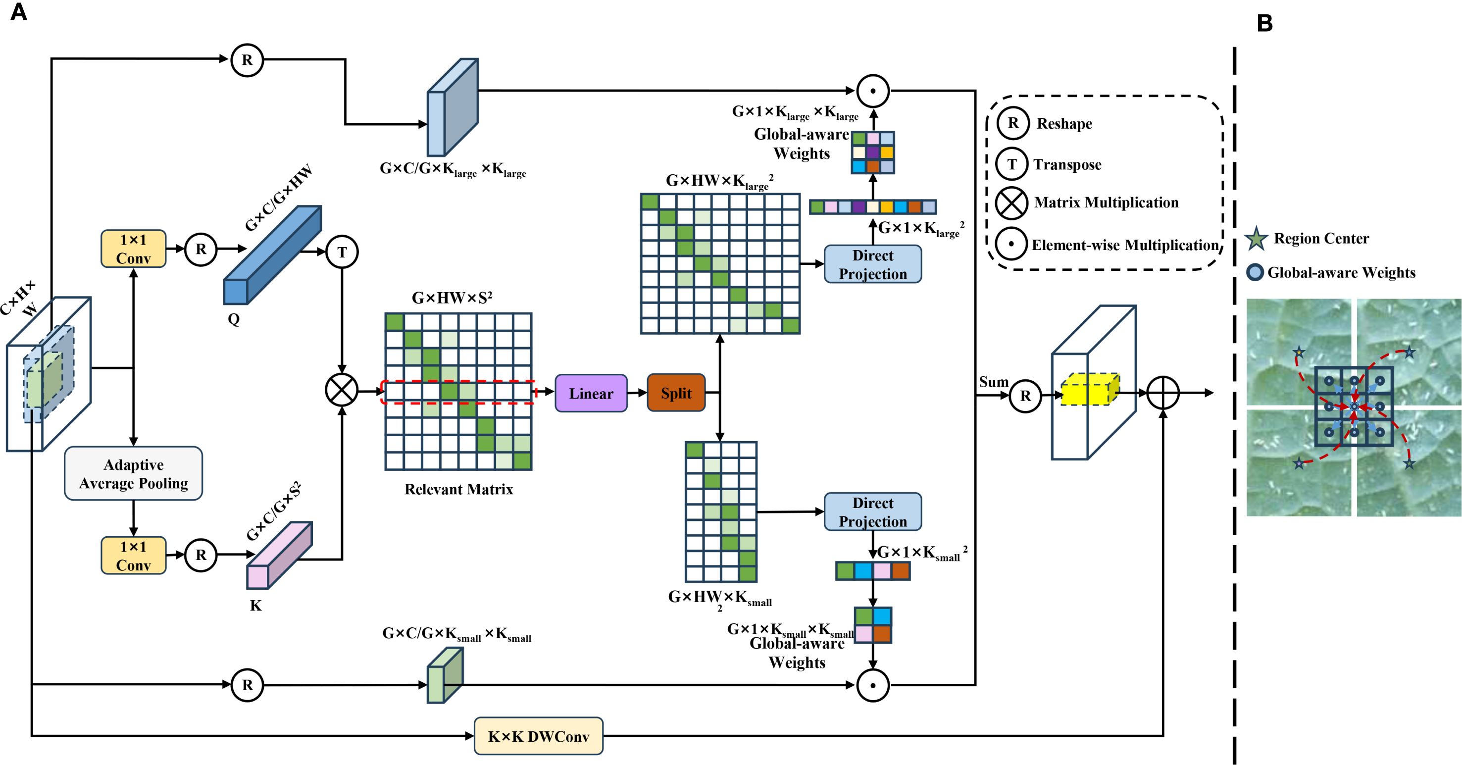 Diagram showing a complex process with two parts labeled A and B. Part A illustrates a flow of data involving reshaping, transposing, and matrix operations, with components like adaptive pooling, convolutions, and projections. Part B depicts a visual with a region center and global-aware weights interconnected by dashed lines. Annotations explain operations and symbols used.