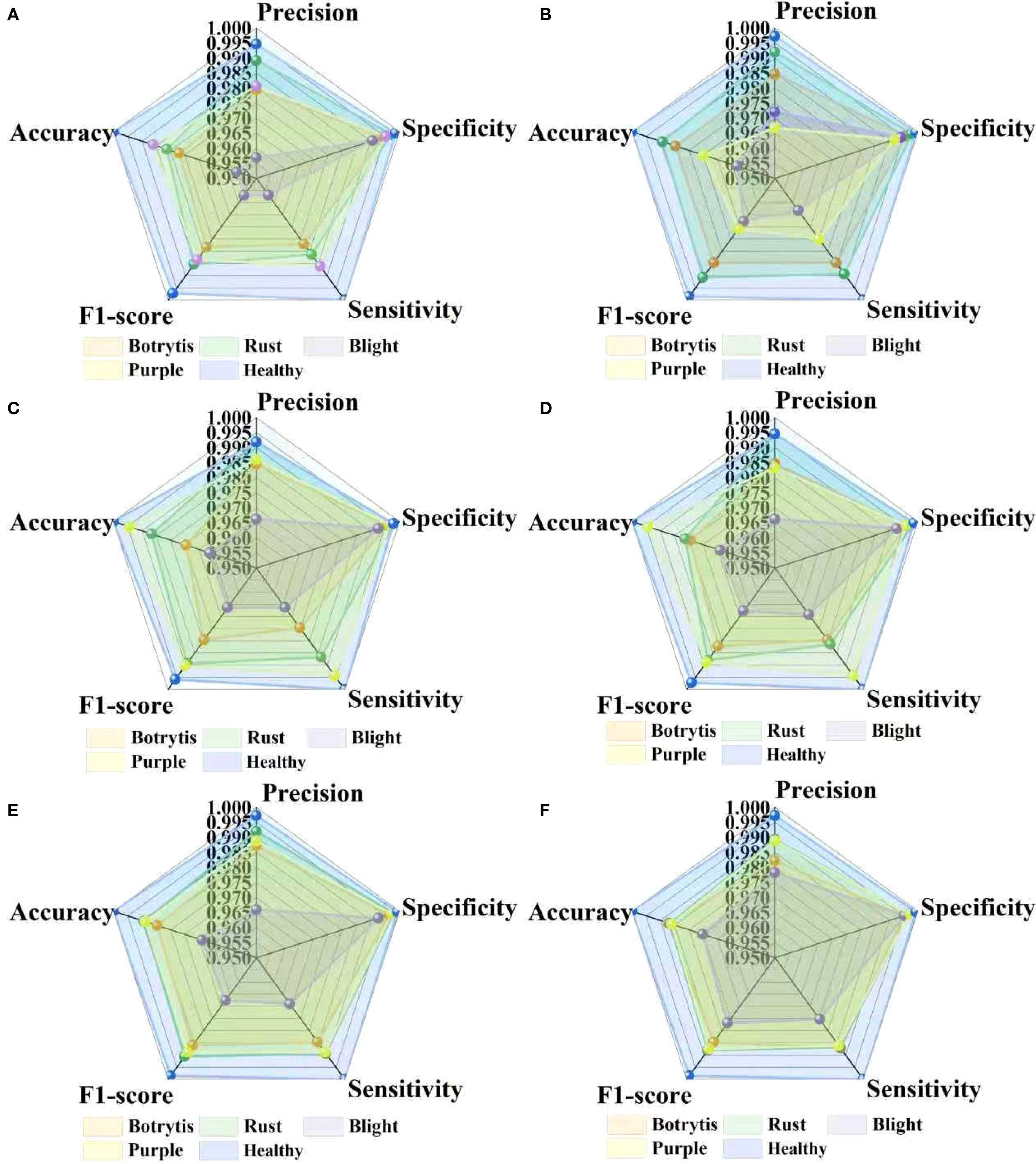 Six radar charts labeled A to F evaluate the performance metrics: accuracy, precision, specificity, sensitivity, and F1-score for plant conditions: Botrytis, Blight, Rust, Purple, and Healthy. Each chart depicts a different configuration and uses color coding to represent each condition's performance range from 0.95 to 1.00.