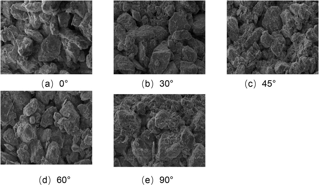 Five scanning electron microscope images show surface microstructures at different angles: (a) 0 degrees, (b) 30 degrees, (c) 45 degrees, (d) 60 degrees, and (e) 90 degrees. Each image reveals detailed texture and granularity variations.