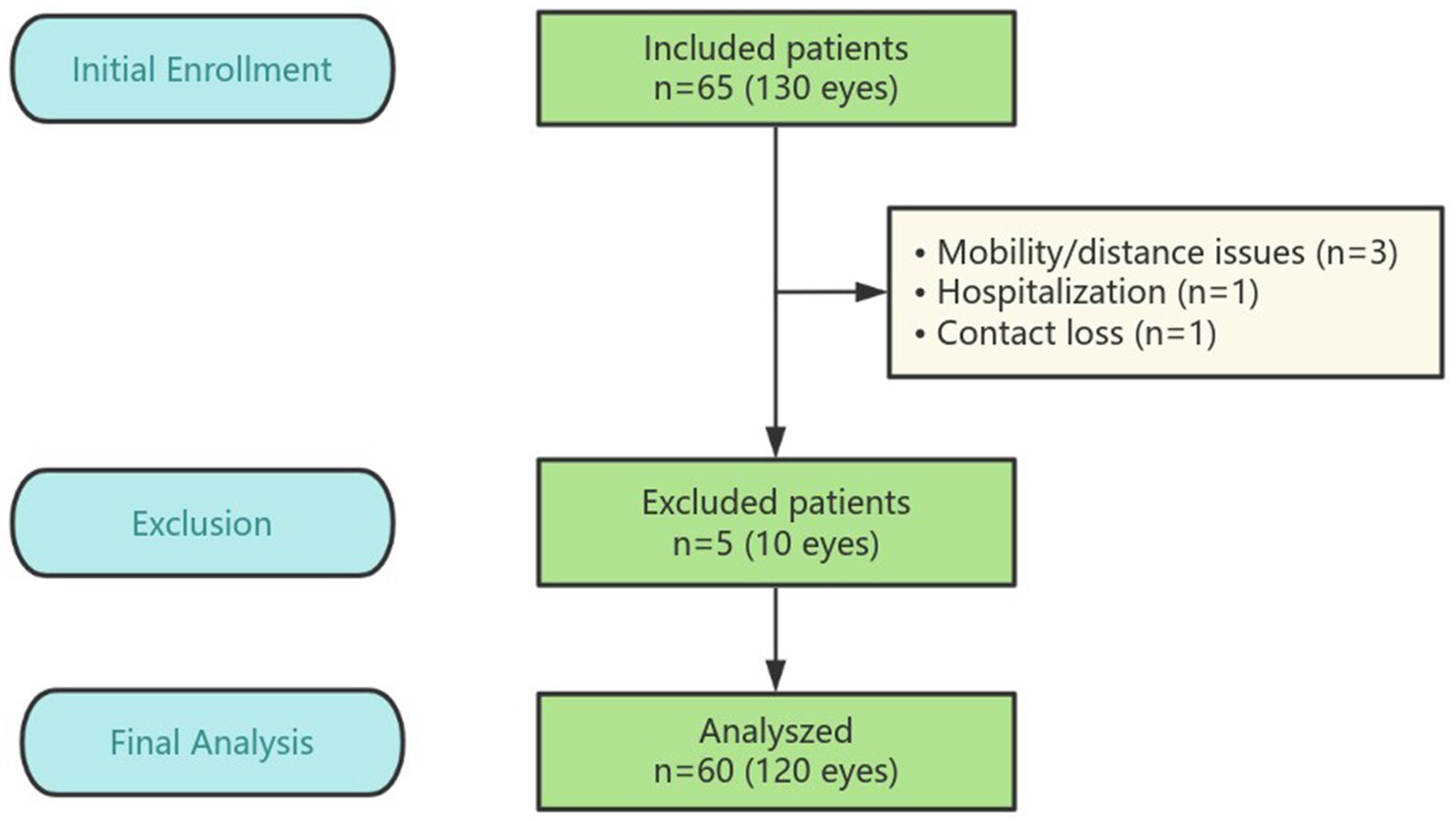 Flowchart of patient analysis showing initial enrollment of 65 patients (130 eyes). Five patients (10 eyes) were excluded due to mobility or distance issues (three patients), hospitalization (one patient), and contact loss (one patient). Final analysis included 60 patients (120 eyes).
