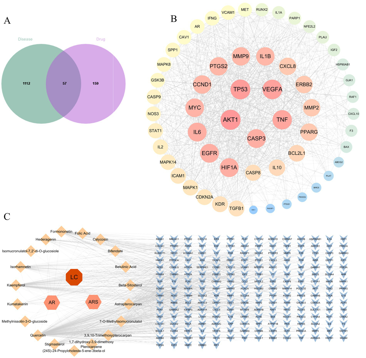 Panel A shows a Venn diagram with circles labeled "Disease" and "Drug", intersecting at a section with fifty-seven elements. Panel B displays a complex network diagram with genes, proteins, or markers. Larger circles like TP53 and AKT1 are more central, with various others like IL6 and MYC connected. Panel C illustrates a network connecting compounds like Formononetin and Quercetin to a grid of molecular targets, with central hexagons labeled LC, AR, and ARS.