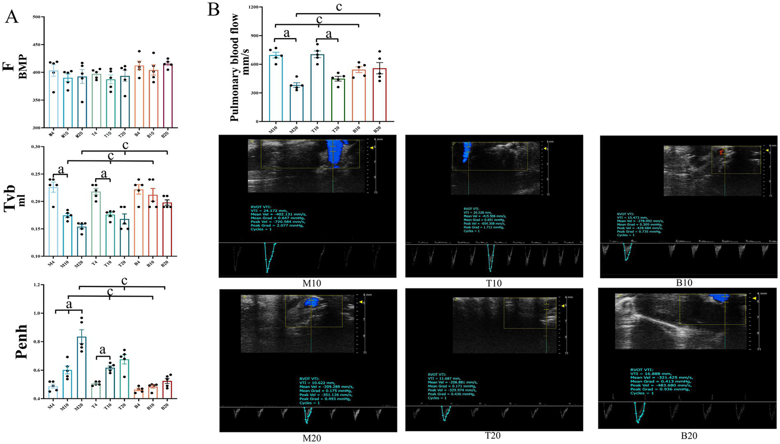 Graphs and ultrasound images showing respiratory and blood flow metrics. Section A contains bar graphs for F BMP, TVb, and Penh across various conditions, highlighting significant differences marked by a, b, and c. Section B includes ultrasound scans of pulmonary blood flow for different conditions (M10, T10, B10, etc.), illustrating blood flow measurements with waveform graphs.