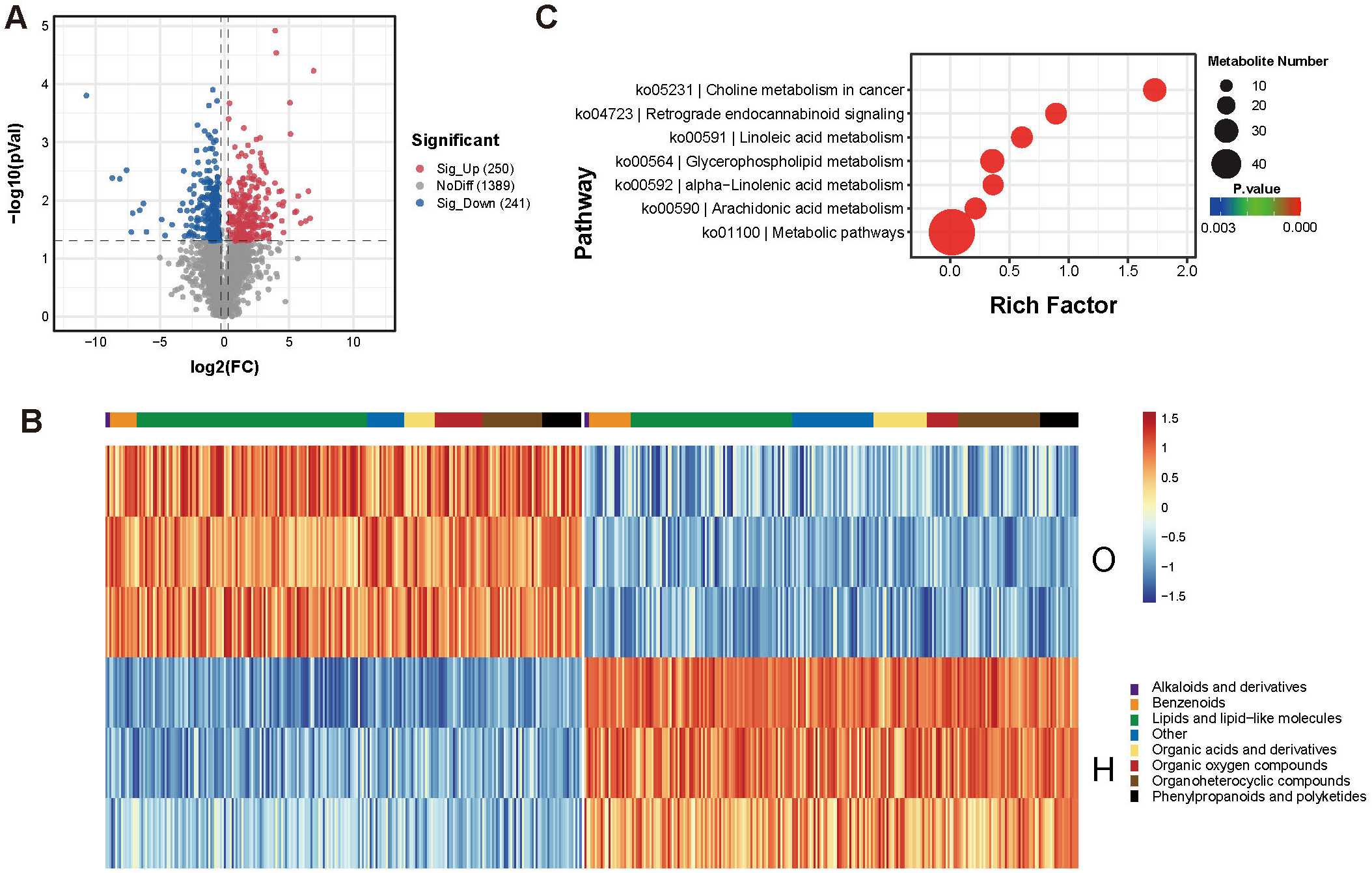 Three-panel image showing: A) a volcano plot of gene expression with points categorized as significantly upregulated (red), downregulated (blue), or no difference (grey); B) a heatmap comparing expression patterns across categories like alkaloids and lipid molecules, with a color gradient indicating expression levels; C) a bubble plot of pathways relating metabolite number and rich factor, with bubble size indicating metabolite count and color denoting p-value.