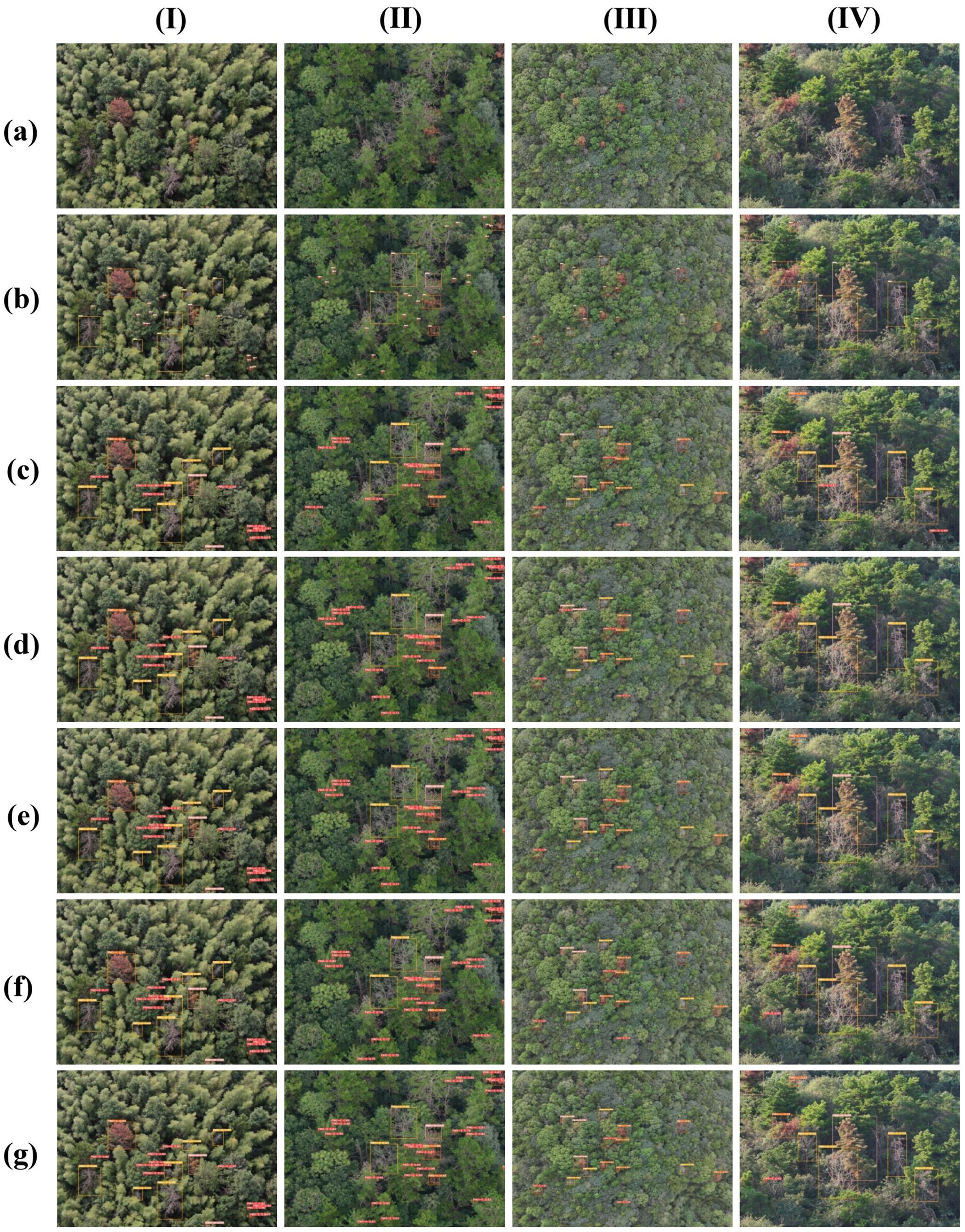 Grid of aerial forest images labeled (a) to (g) and (I) to (IV). Each row shows similar tree canopy views with variations in coloring and outlined sections.
