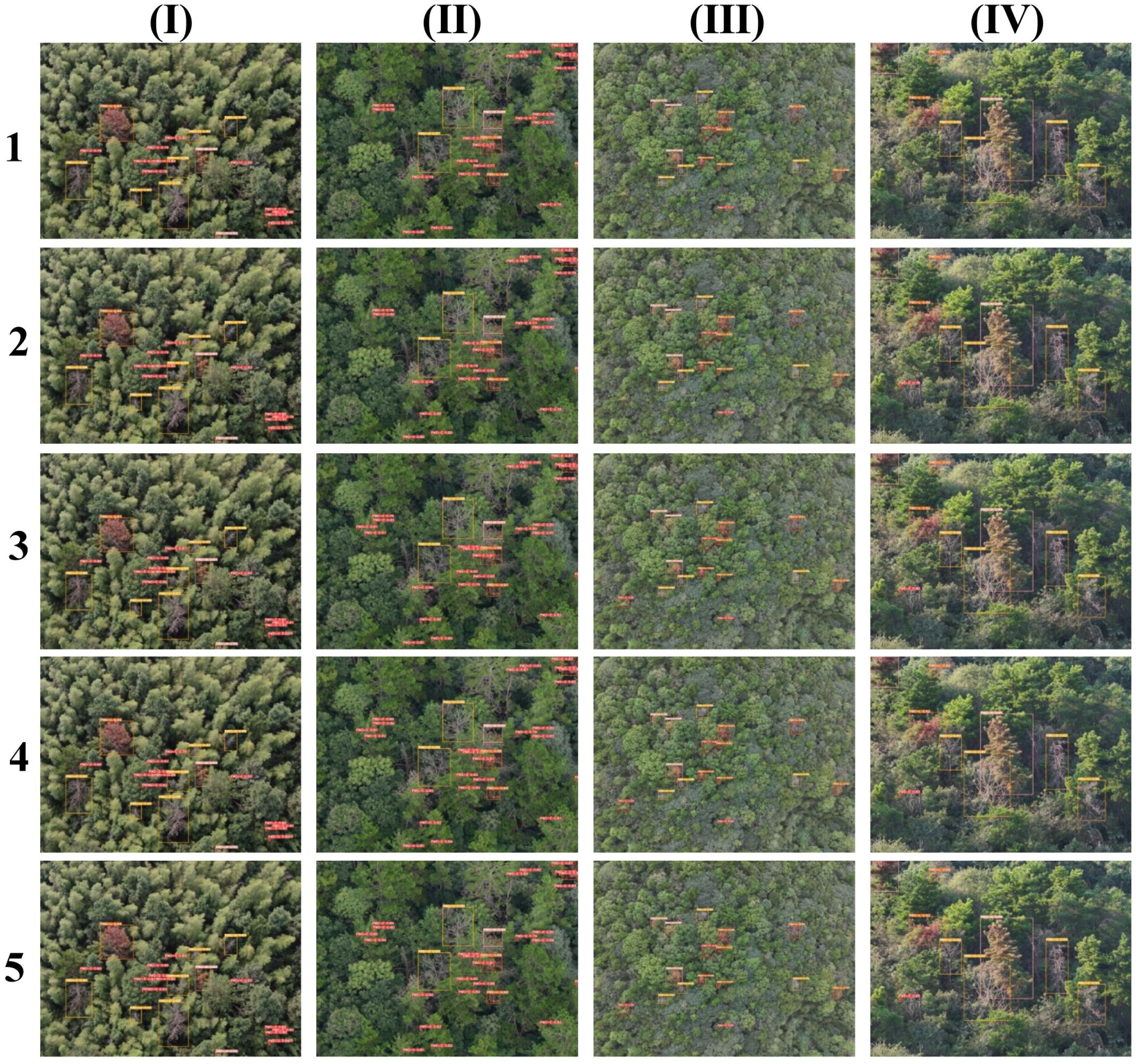 A grid of aerial forest images labeled from one to five on the left and I to IV on the top. Each image features dense green foliage with some sections highlighted by yellow and orange markers, indicating specific areas or details within the forest canopy. The variations in greenery and marked areas suggest a comparison or study across different sections of the forest.