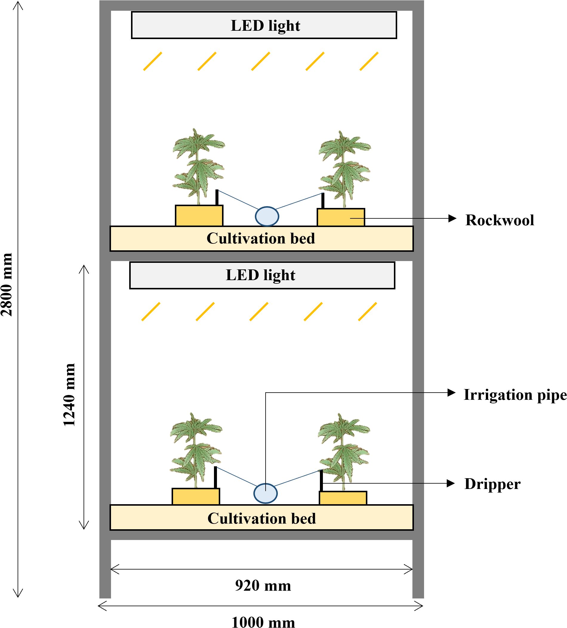 Cross-sectional diagram of a vertical cultivation system. Two tiers contain cultivation beds with plants on rockwool. Each tier has LED lights above the beds, with dimensions marked as 1240 millimeters and 2800 millimeters in height, and widths of 920 millimeters and 1000 millimeters. Irrigation pipes with drippers feed the plants.