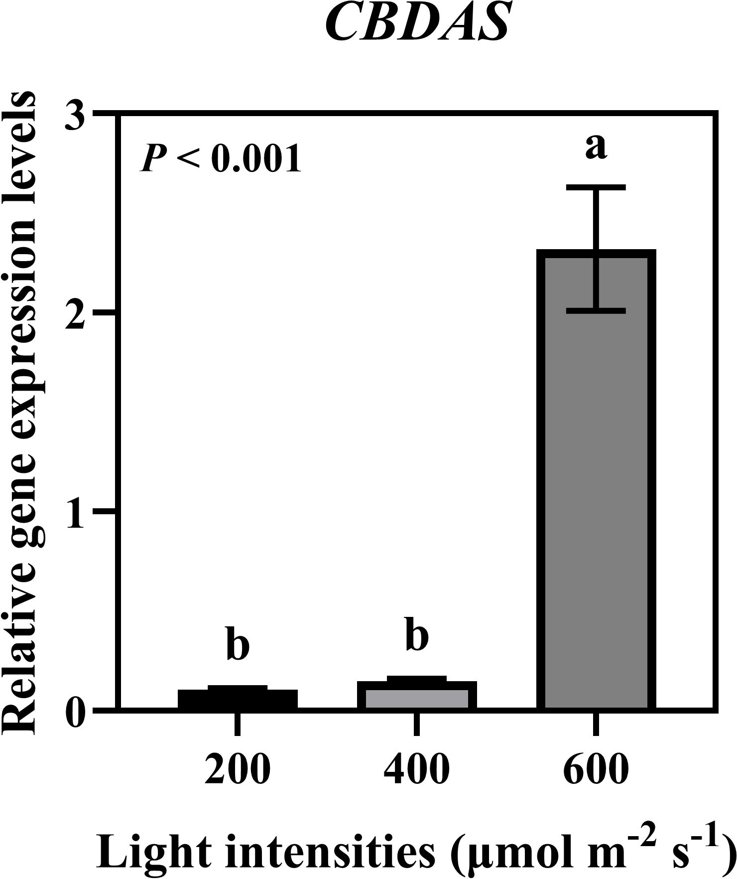 Bar graph showing relative gene expression levels of CBDAS under different light intensities (200, 400, 600 micromoles per square meter per second). Expression increases significantly at 600 with a value above 2. Statistical significance is indicated as P < 0.01.
