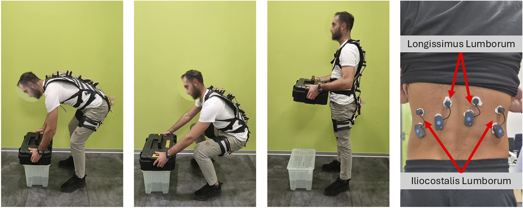 A person is demonstrating a lifting motion using a back support exoskeleton. The sequence shows bending, squatting, and standing postures. In a separate close-up, sensors are attached to the lower back, highlighting the Longissimus and Iliocostalis Lumborum muscles.