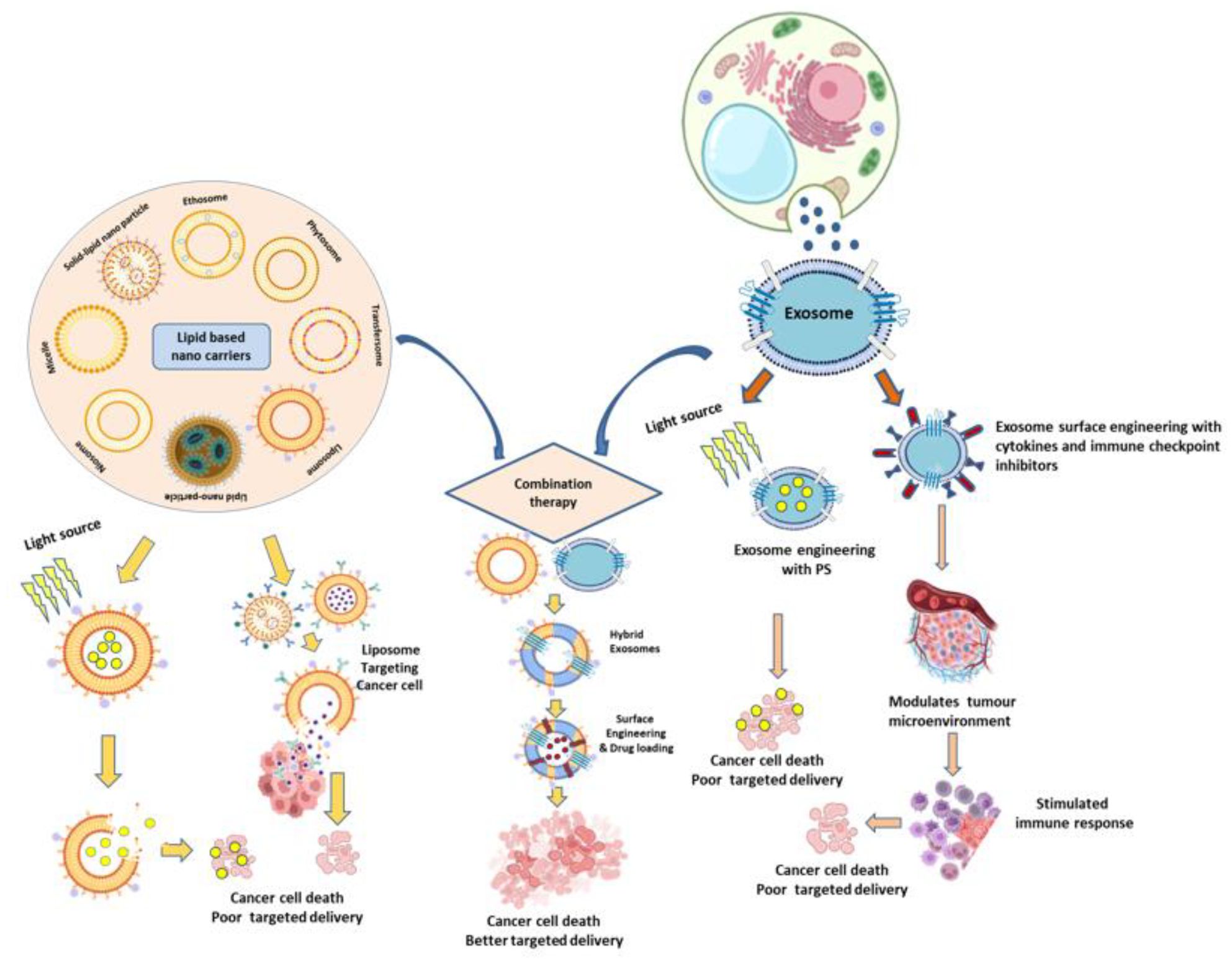 Diagram illustrating the role of lipid-based nanocarriers and exosomes in targeted cancer therapy. On the left, various lipid-based nanocarriers are shown, leading to cancer cell death with poor targeted delivery after light activation. On the right, combination therapy using exosome engineering, including exosome surface modifications, enhances therapy by modulating the tumor microenvironment and stimulating immune responses, resulting in better targeted cancer cell death.