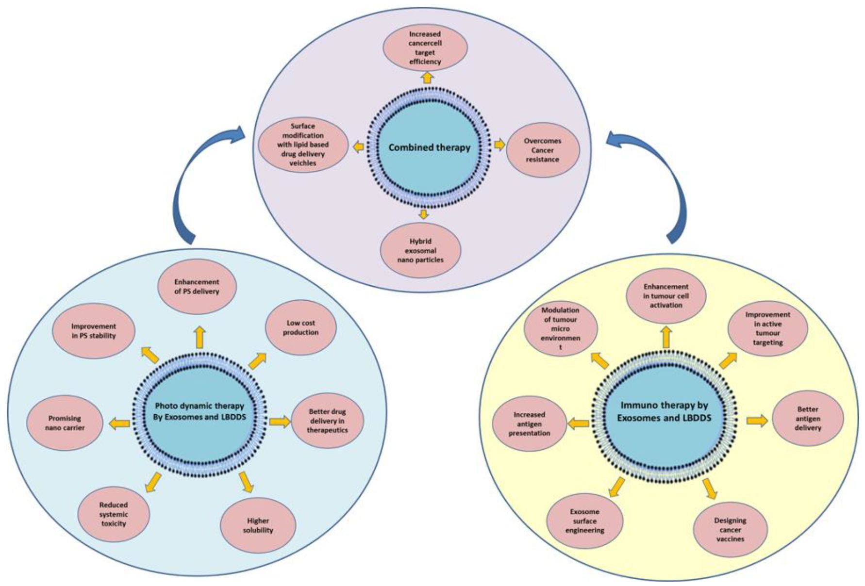 Diagram depicting three overlapping concepts: Combined Therapy, Photodynamic Therapy by Exosomes and LBDDS, and Immunotherapy by Exosomes and LBDDS. Combined Therapy involves increased cancer cell target efficiency and overcoming cancer resistance. Photodynamic Therapy highlights improved photosensitizer delivery, low-cost production, and reduced systemic toxicity. Immunotherapy focuses on enhanced tumor cell activation, modulation of tumor microenvironment, and increased antigen presentation. Each concept has associated benefits displayed in surrounding ellipses, connected by arrows.