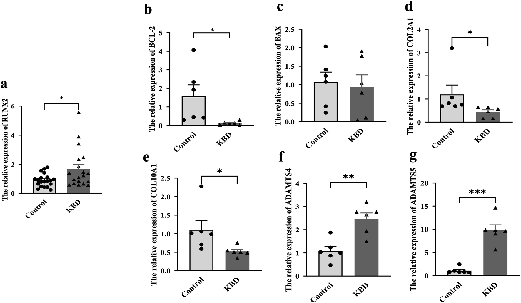 Bar graphs showing relative gene expression levels of various genes in control and KBD groups. Panels (a) to (g) display different genes: RUNX2, BCL-2, BAX, COL2A1, COL10A1, ADAMTS4. Significant differences are indicated with.