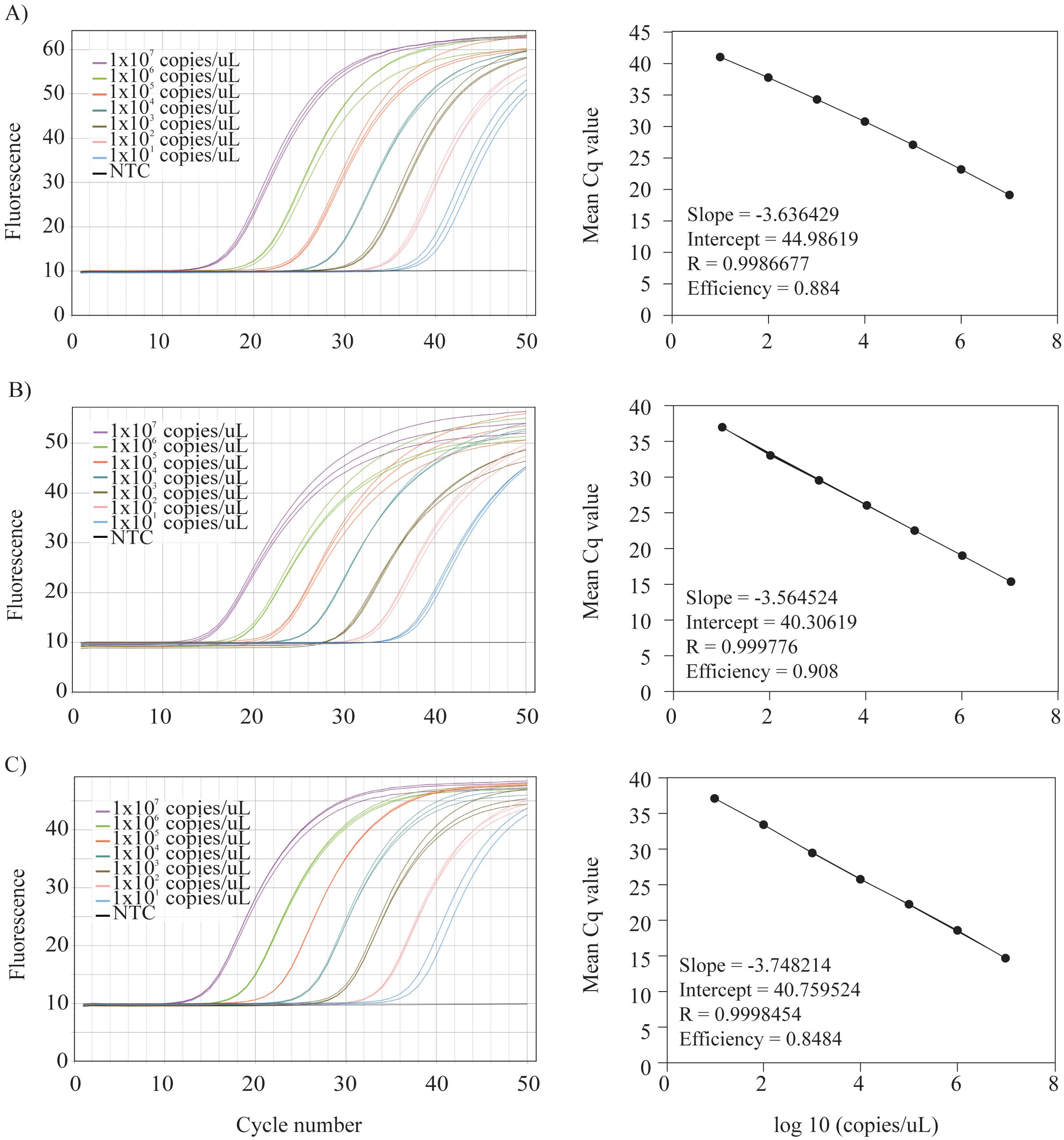 Three panels labeled A, B, and C show fluorescence amplification curves and standard curves for various DNA concentrations in real-time PCR. Each amplification graph displays fluorescence against cycle number with concentrations ranging from 1 to 10^7 copies per microliter plus a no-template control (NTC). The standard curves show mean Cq values plotted against the logarithm of DNA concentration, with slopes, intercepts, correlation coefficients, and efficiencies provided. Panel A has slope -3.64, efficiency 88.4%; Panel B slope -3.56, efficiency 90.8%; Panel C slope -3.75, efficiency 84.8%.