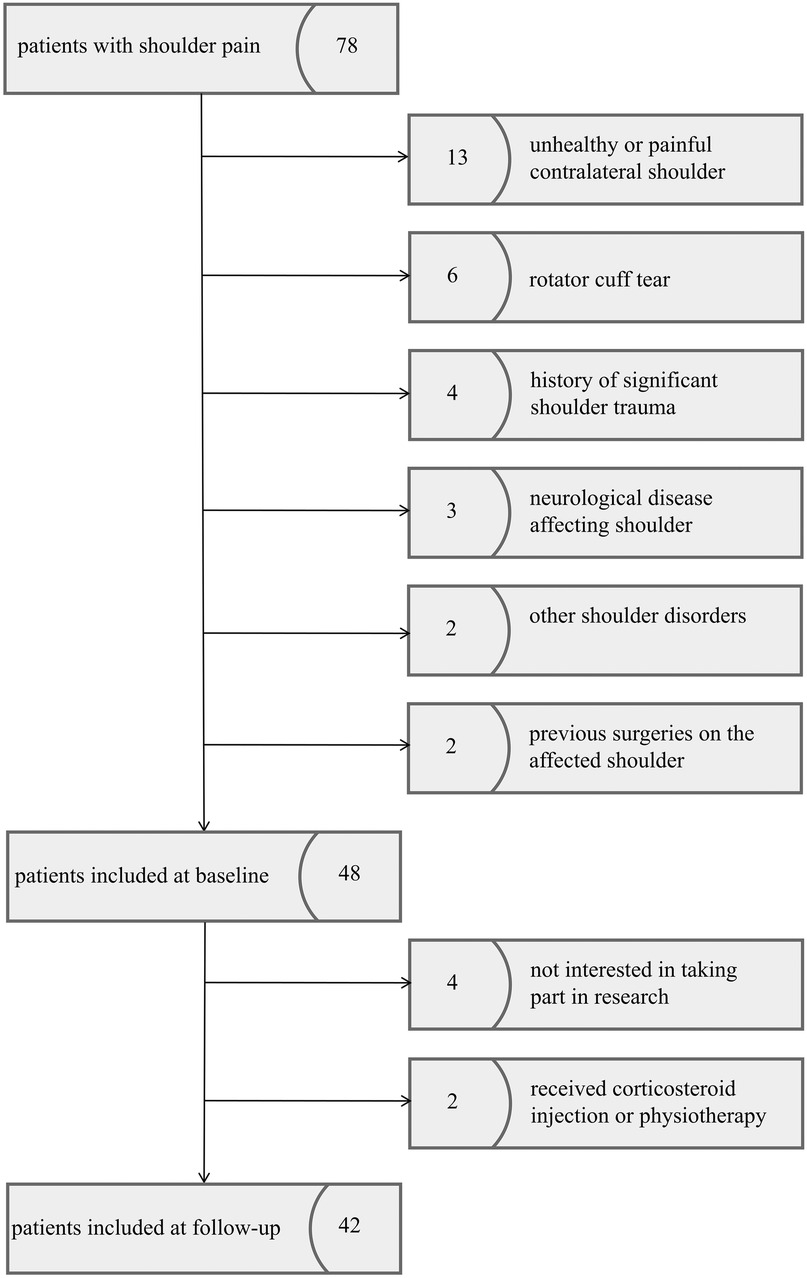 Flowchart detailing the selection process of patients with shoulder pain, starting with seventy-eight individuals. Thirteen had an unhealthy contralateral shoulder, six had a rotator cuff tear, four had significant shoulder trauma, three had neurological diseases affecting the shoulder, two had other disorders, and two had previous surgeries. This resulted in forty-eight patients at baseline. Four were not interested in research, and two received corticosteroid injections or physiotherapy, leading to forty-two patients at follow-up.